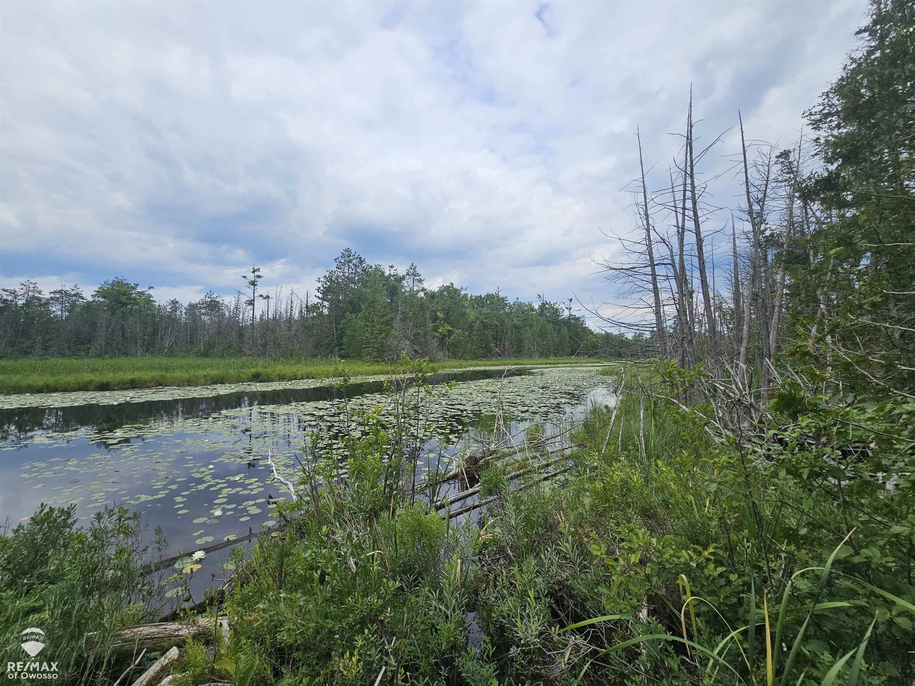Spile Dam Road, Millersburg, MI 49759 — Photo 14