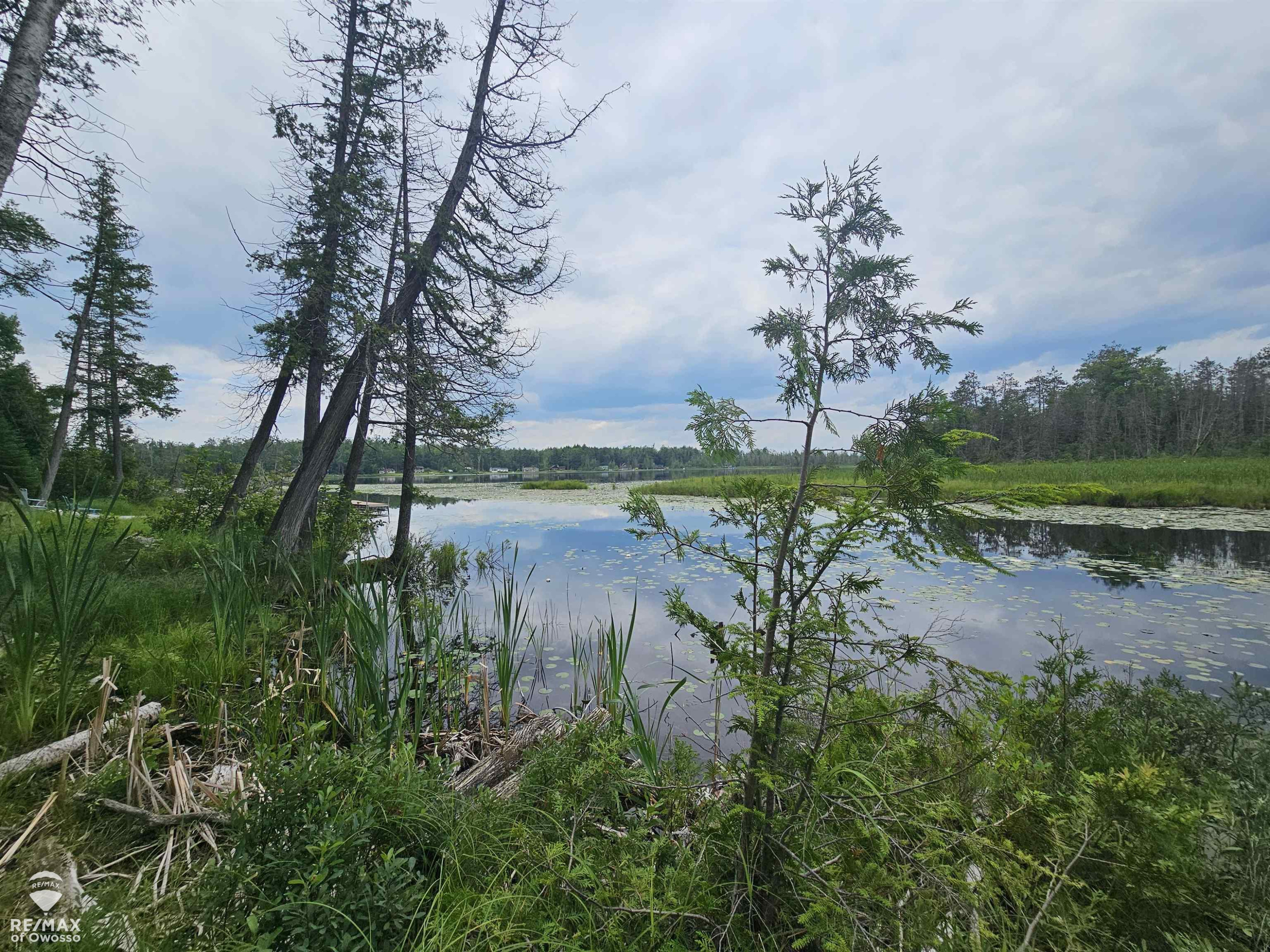 Spile Dam Road, Millersburg, MI 49759 — Photo 15