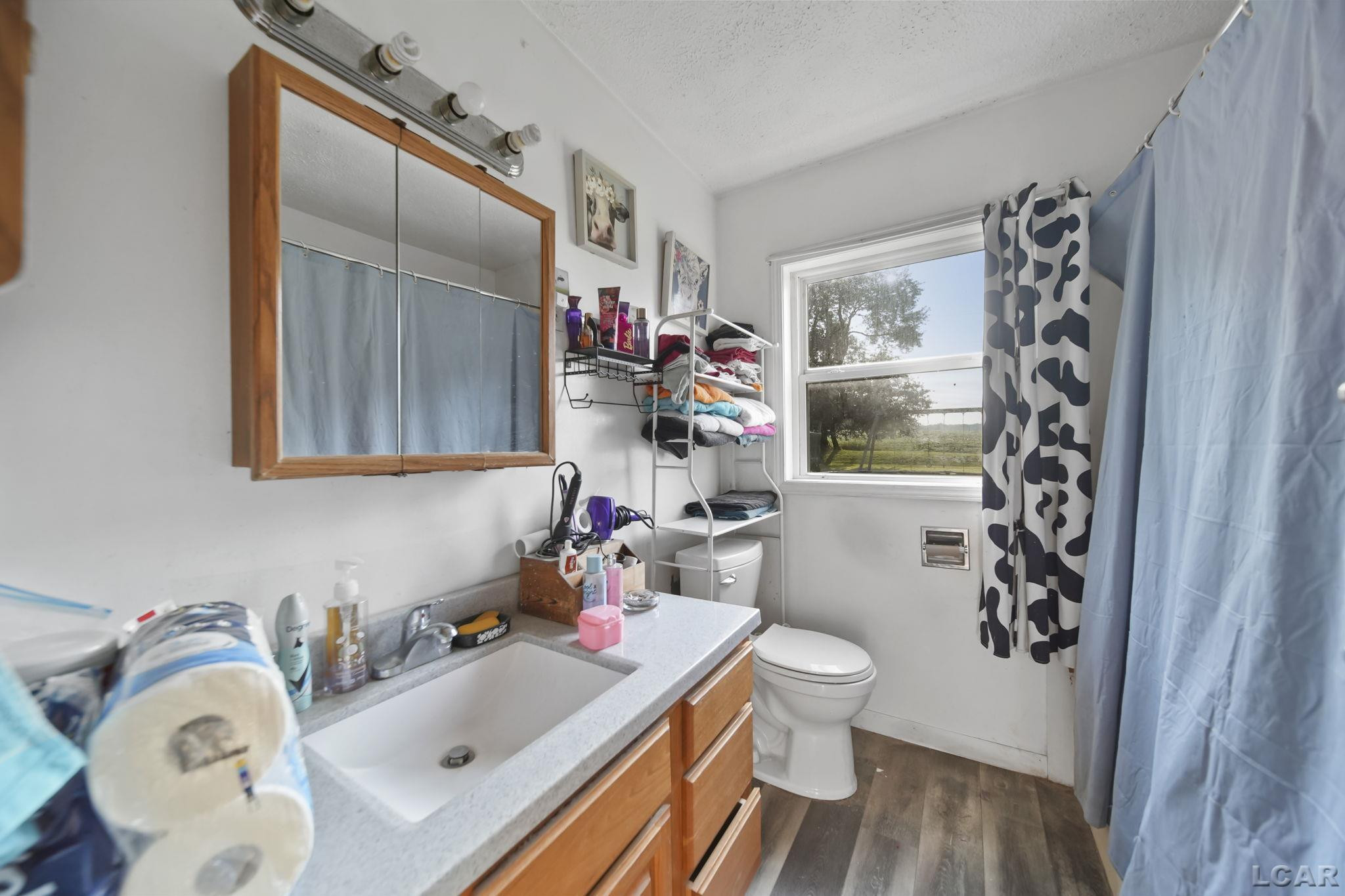 407 S Comstock Street, Addison, MI 49220 — Photo 11