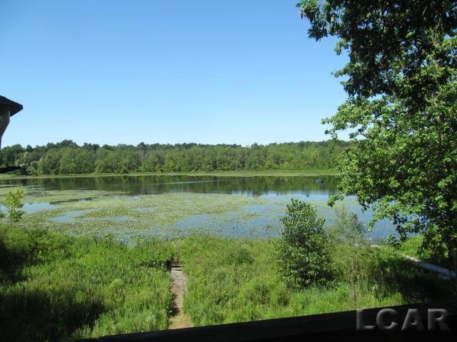 1280 Lakeview Drive, Tipton, MI 49287 — Photo 10