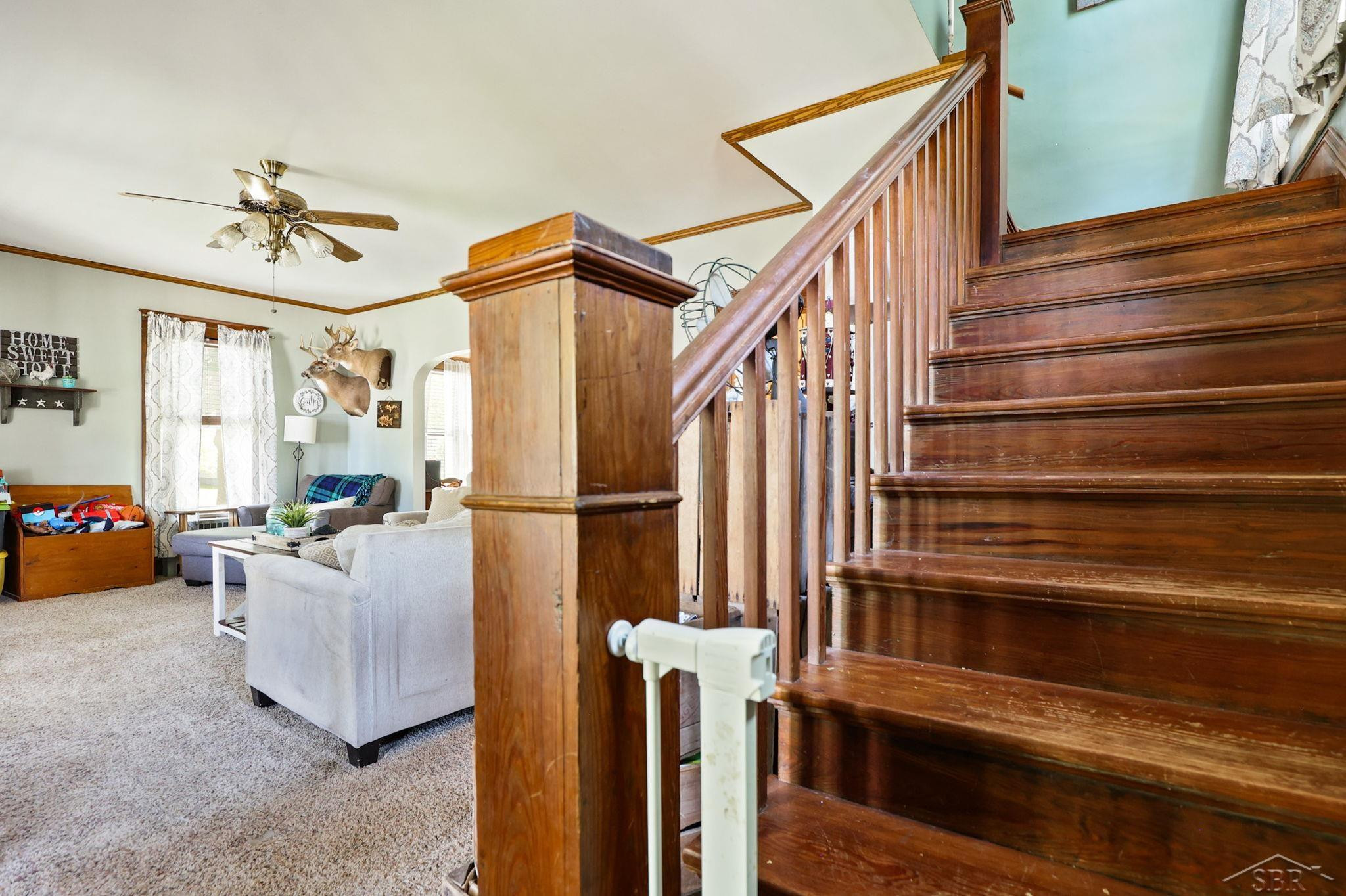 6692 Houghton Street, Cass City, MI 48726 — Photo 12