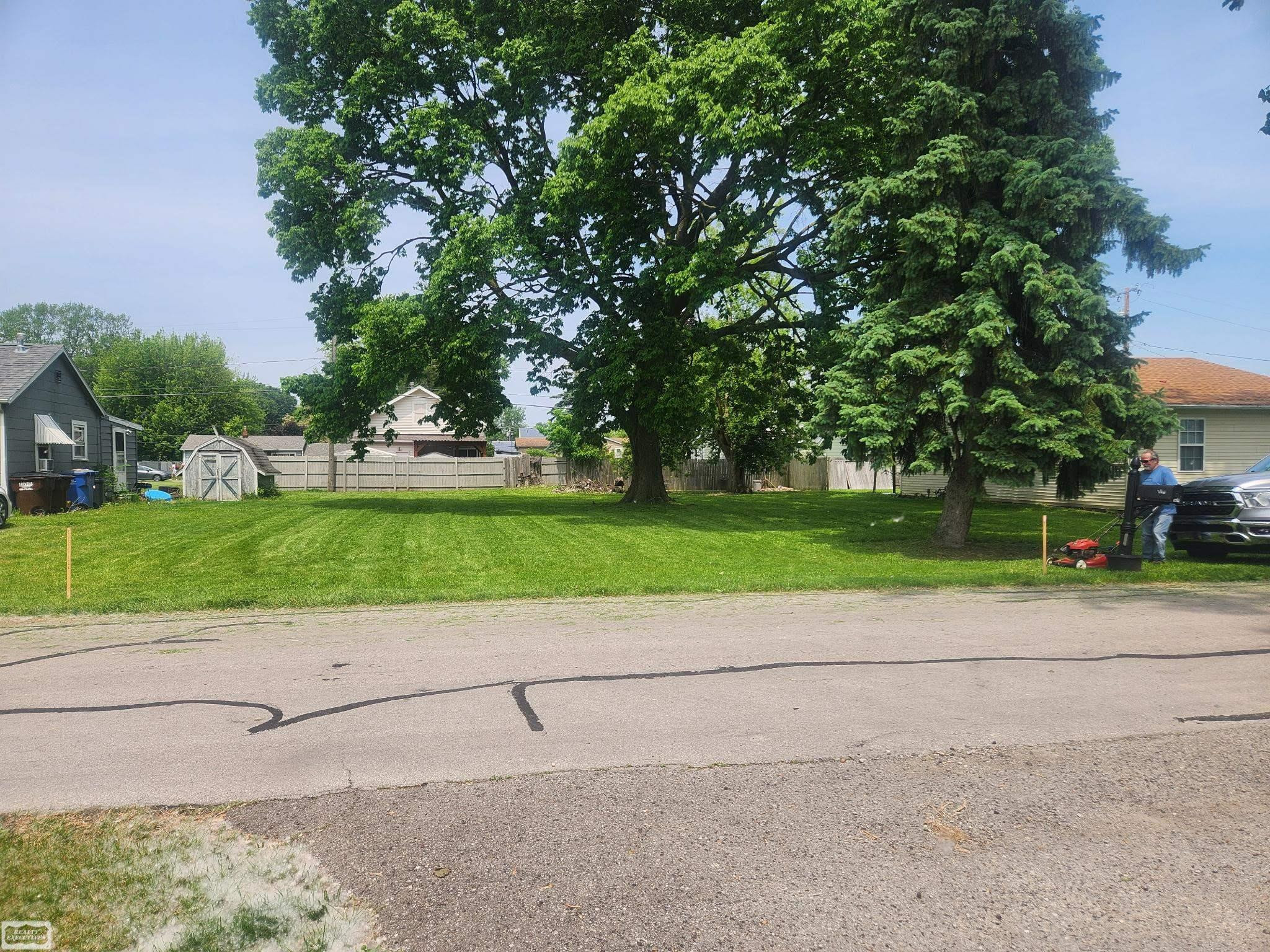 0 3rd Street, MI 48162 — Photo 2