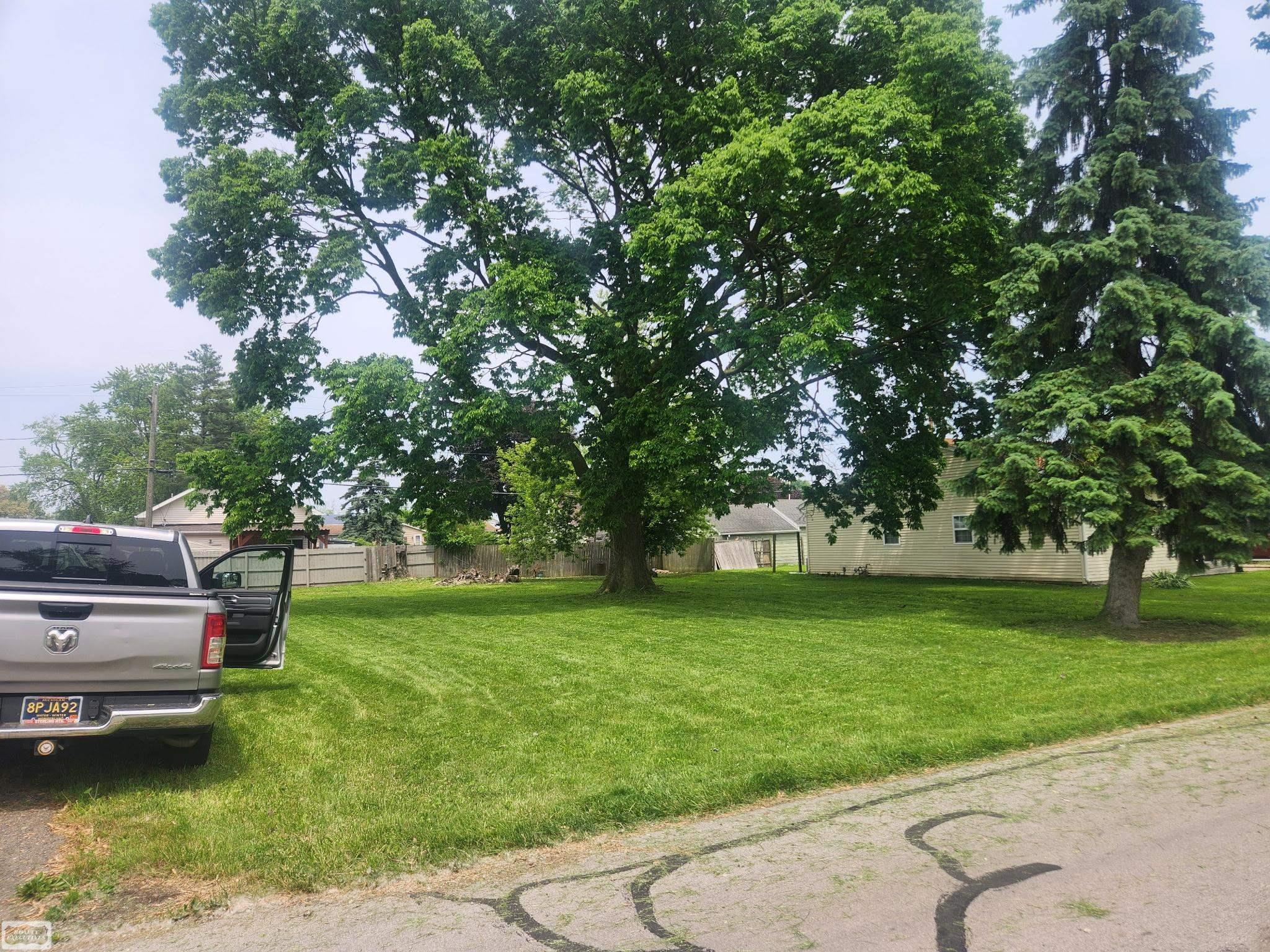 0 3rd Street, MI 48162 — Photo 3