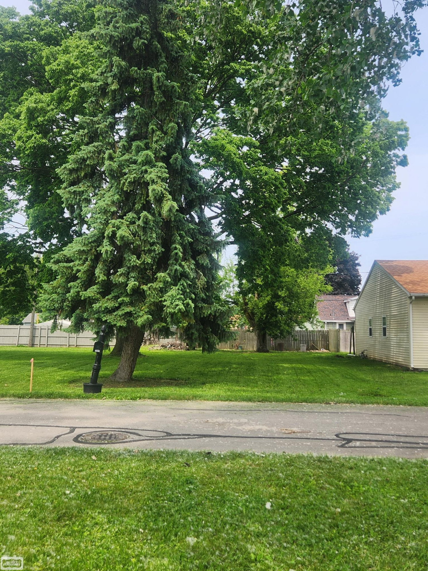 0 3rd Street, MI 48162 — Photo 9