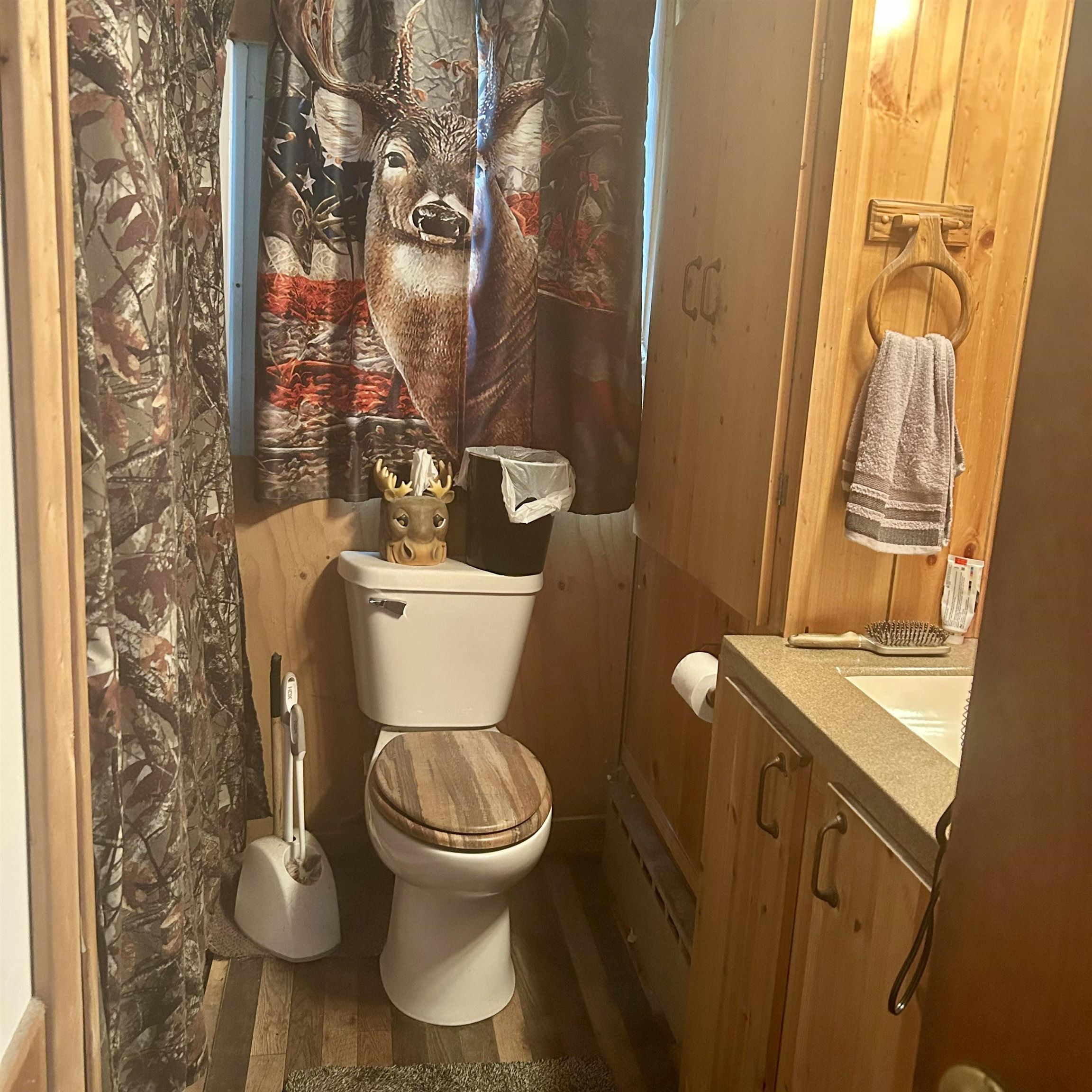 6215 S Graham Road, Saint Charles, MI 48655 — Photo 7