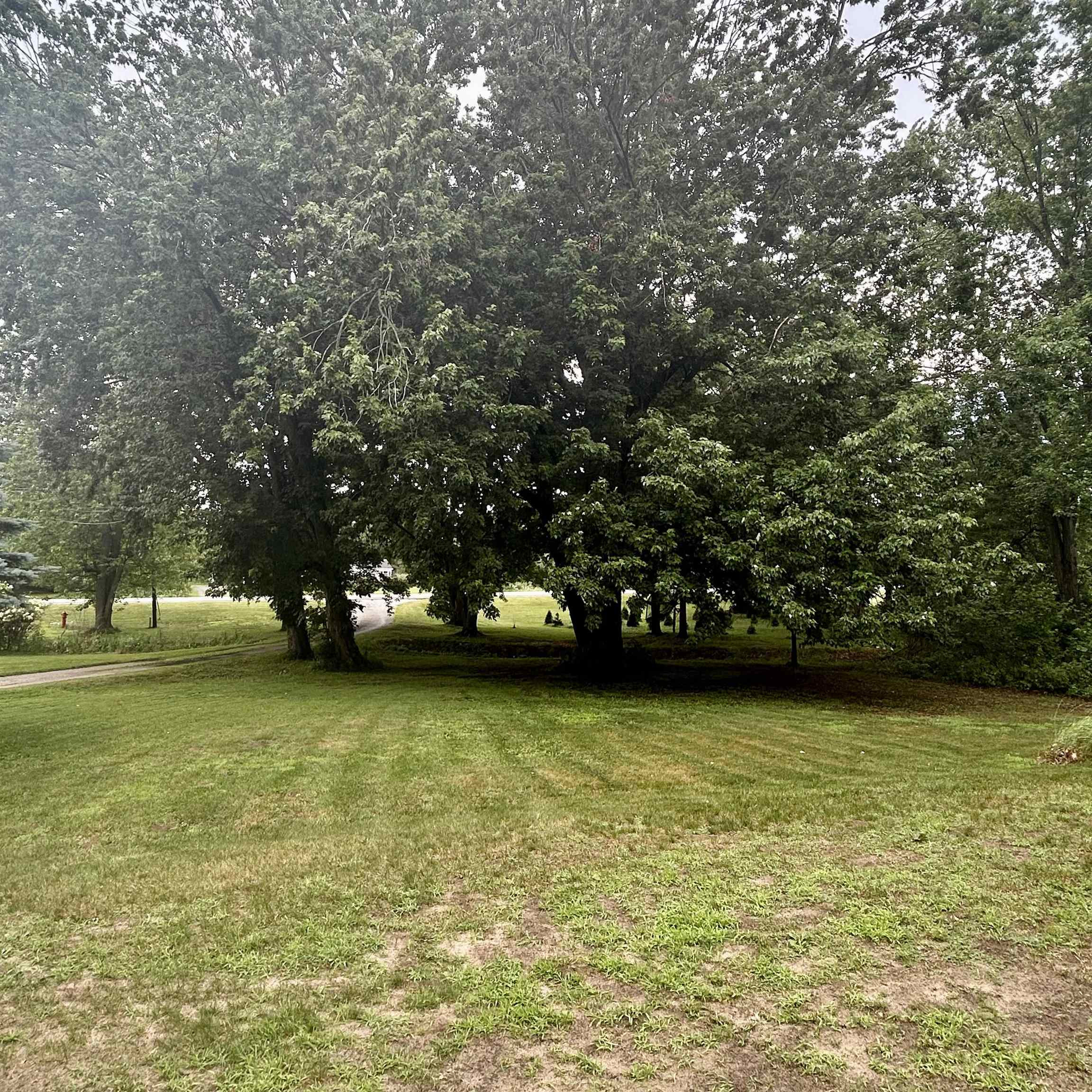 6215 S Graham Road, Saint Charles, MI 48655 — Photo 22
