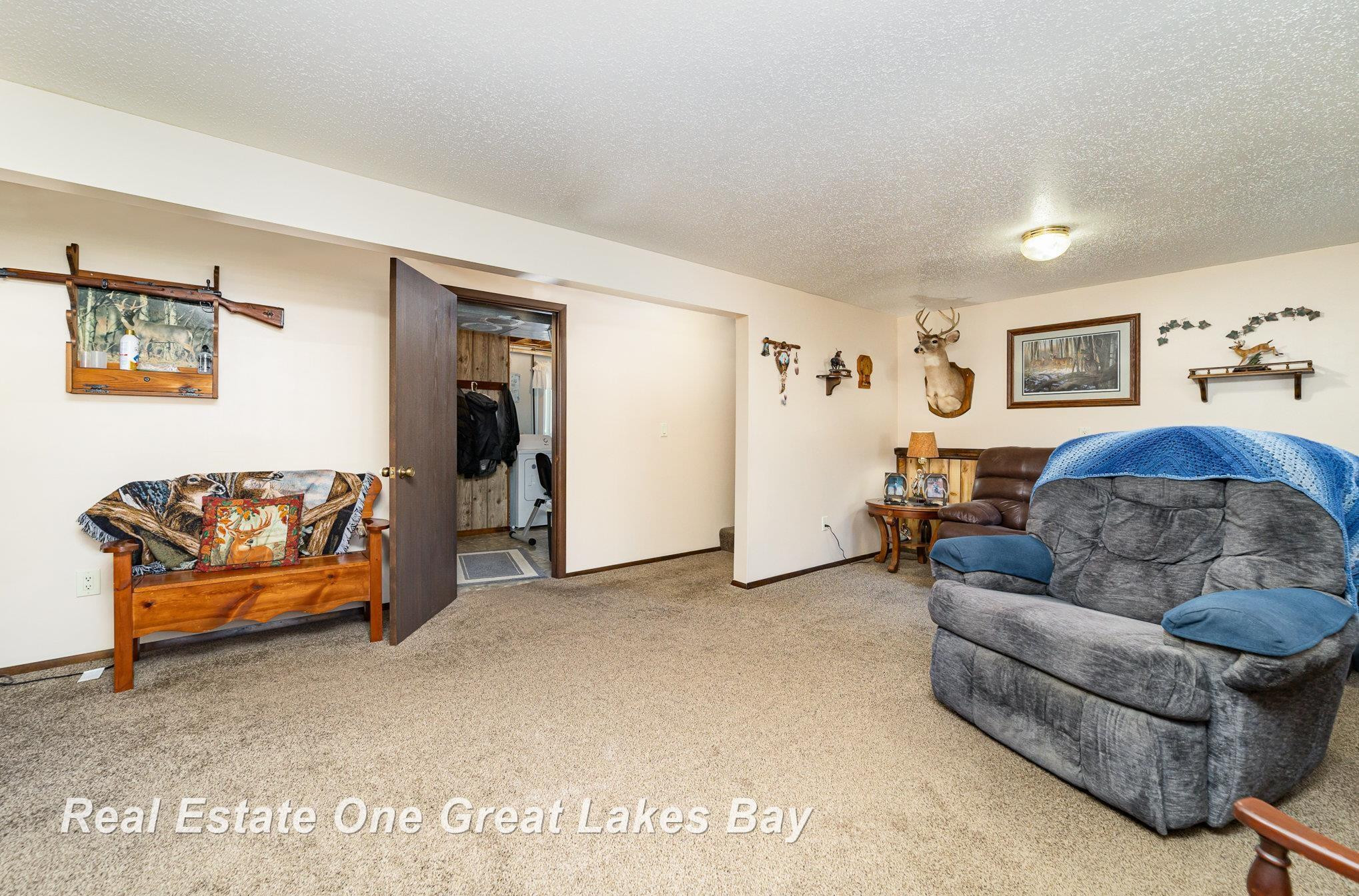3818 Jim Drive, Bridgeport, MI 48722 — Photo 15