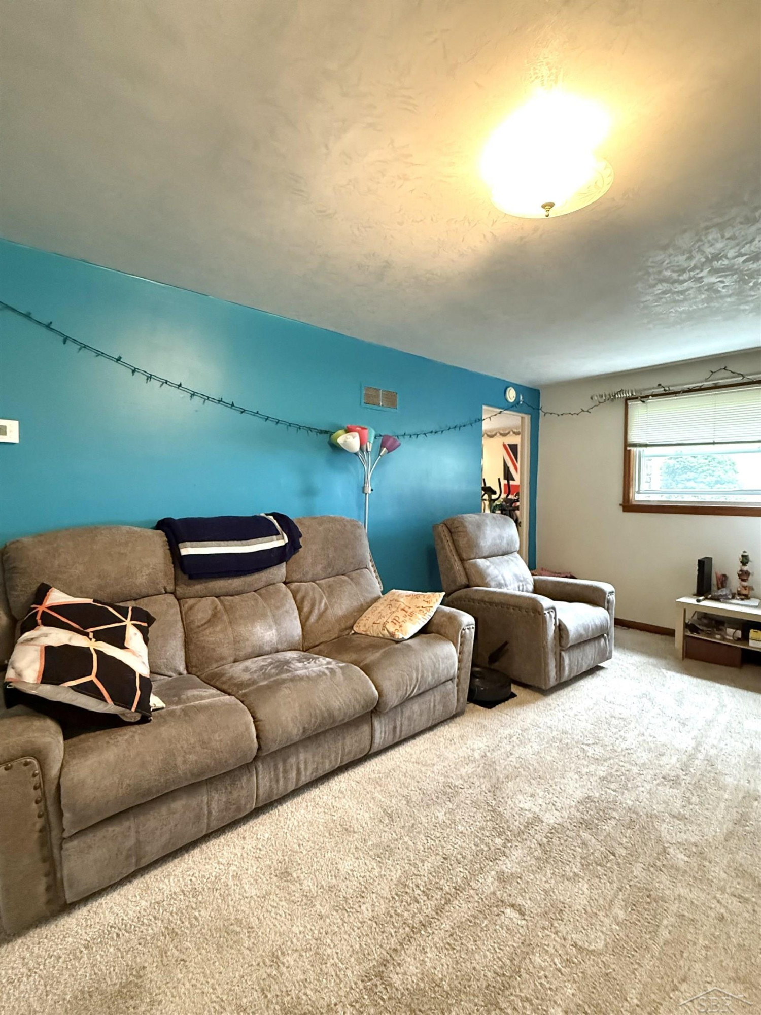 113 Auch Street, Sebewaing, MI 48759 — Photo 3