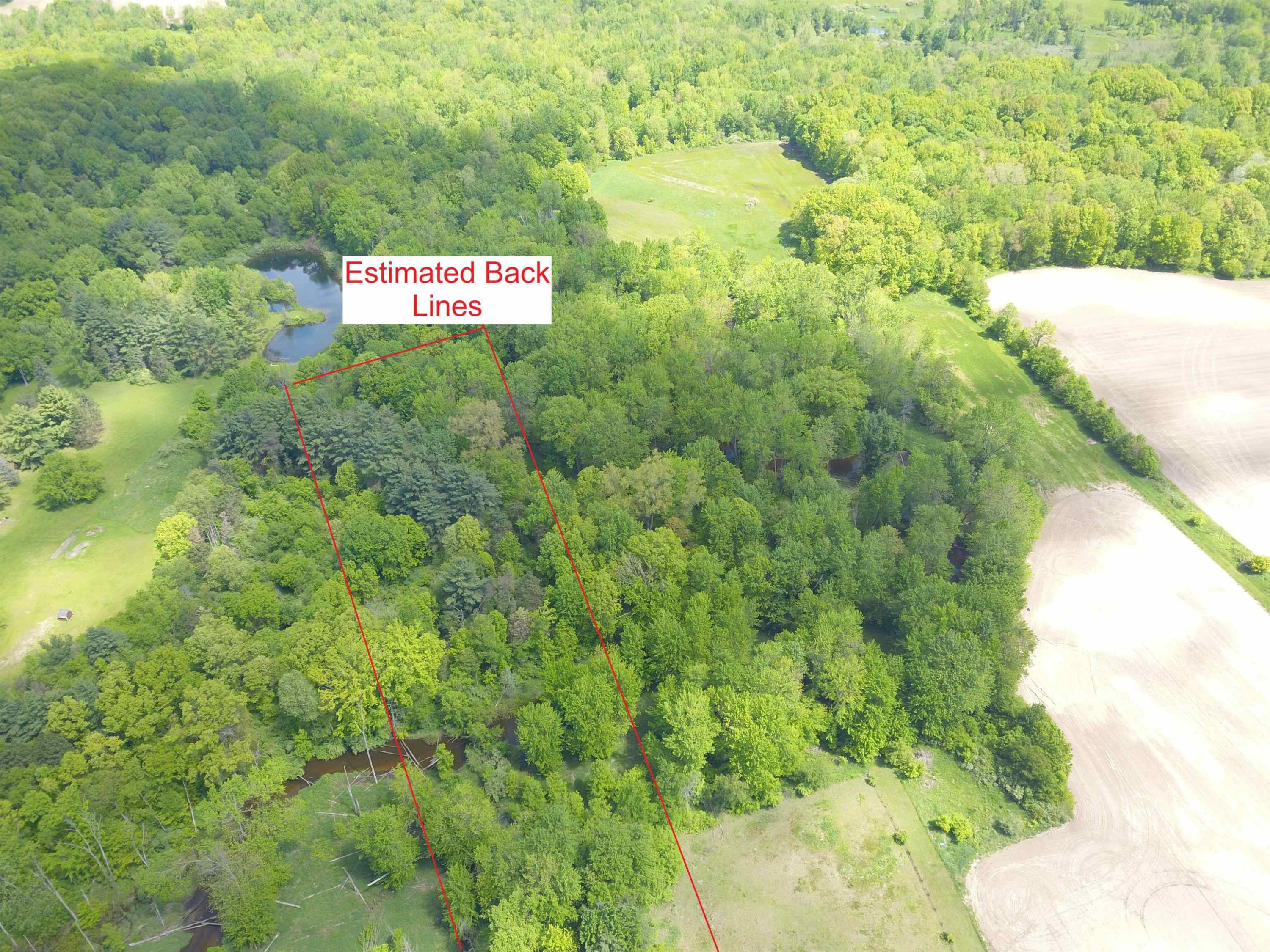 10120 Bath Road, Laingsburg, MI 48848 — Photo 3