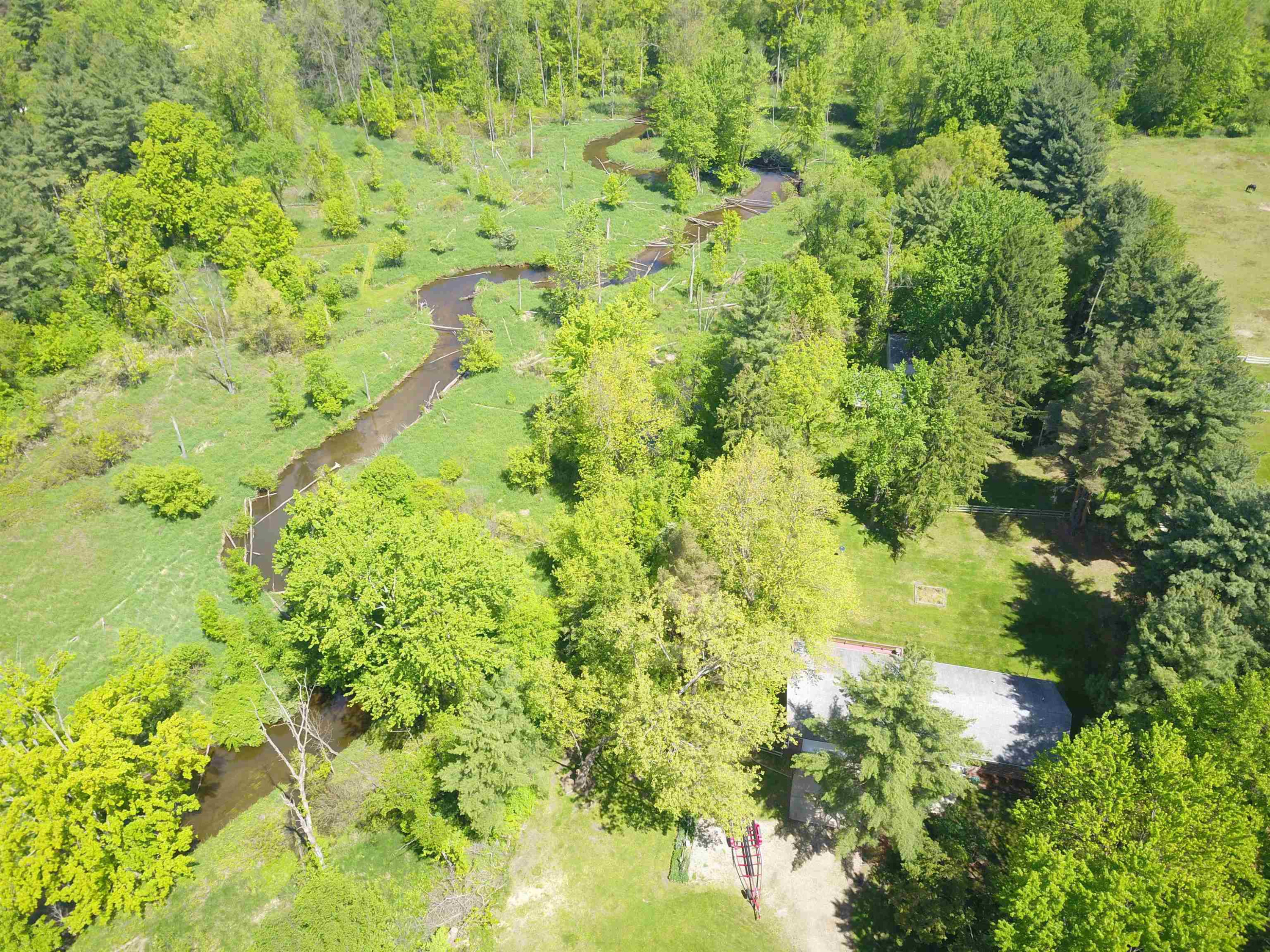 10120 Bath Road, Laingsburg, MI 48848 — Photo 16