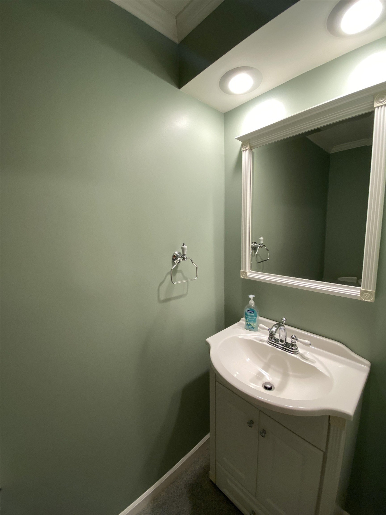 10120 Bath Road, Laingsburg, MI 48848 — Photo 18