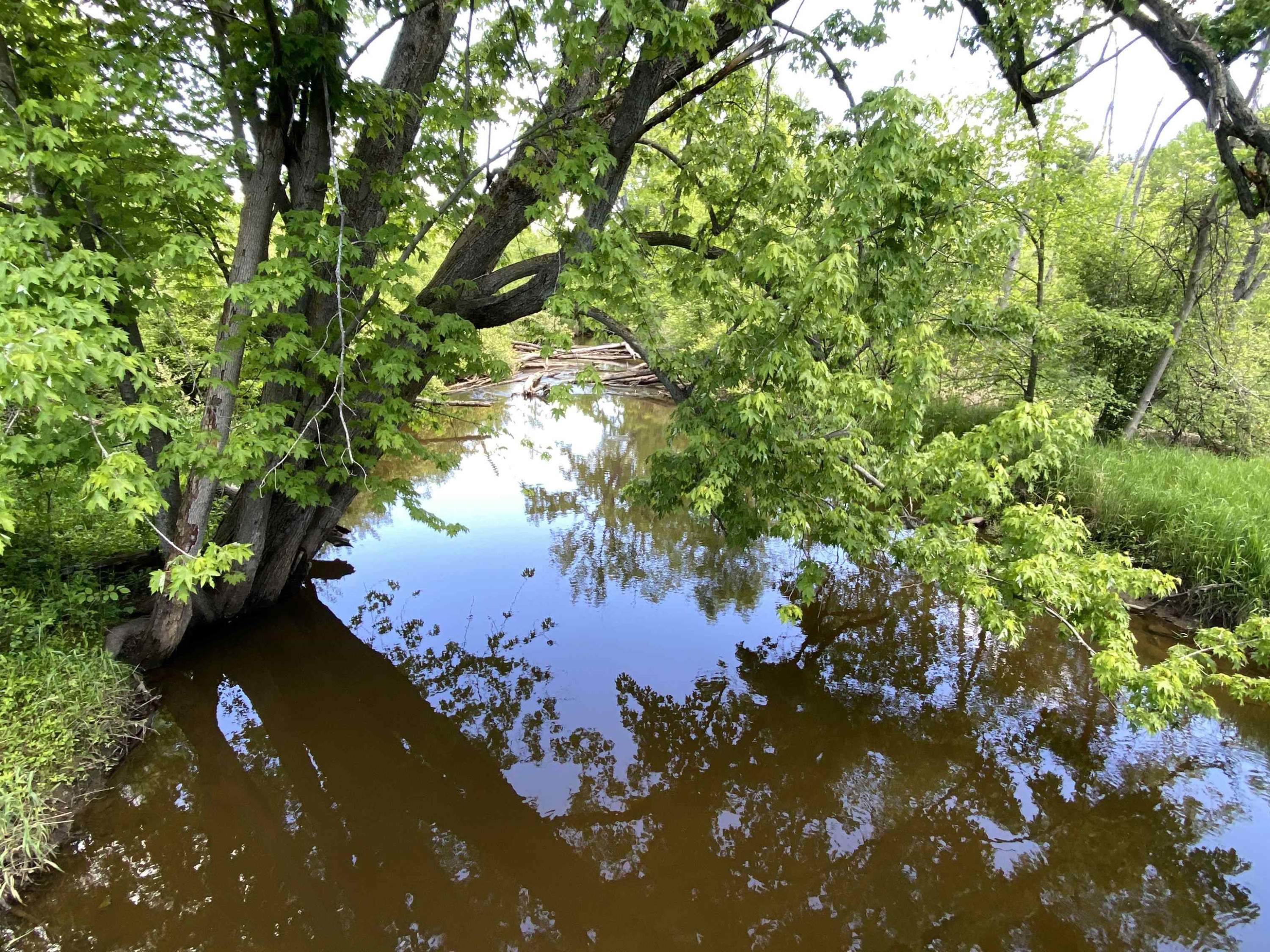 10120 Bath Road, Laingsburg, MI 48848 — Photo 20