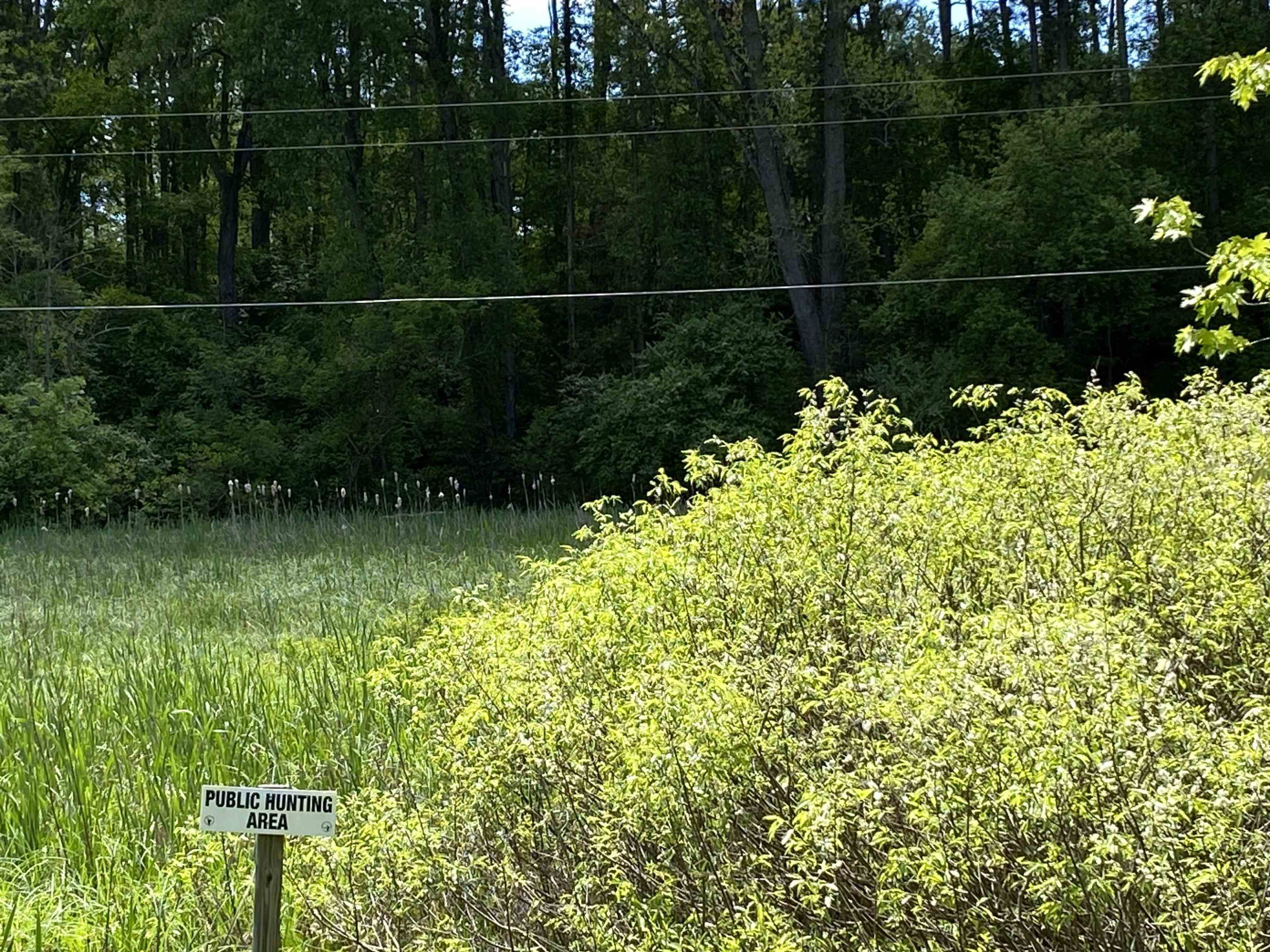 10120 Bath Road, Laingsburg, MI 48848 — Photo 26