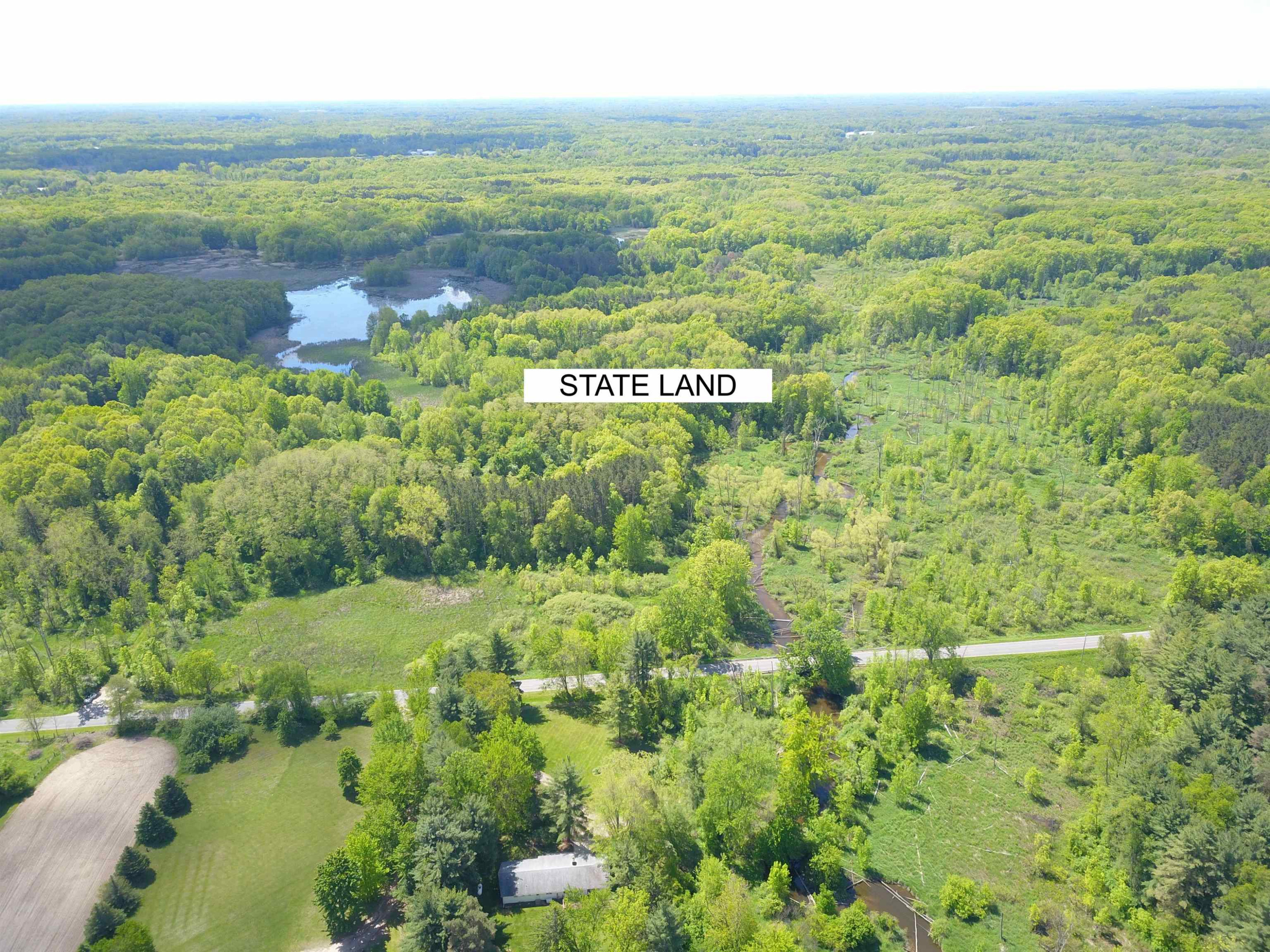 10120 Bath Road, Laingsburg, MI 48848 — Photo 27