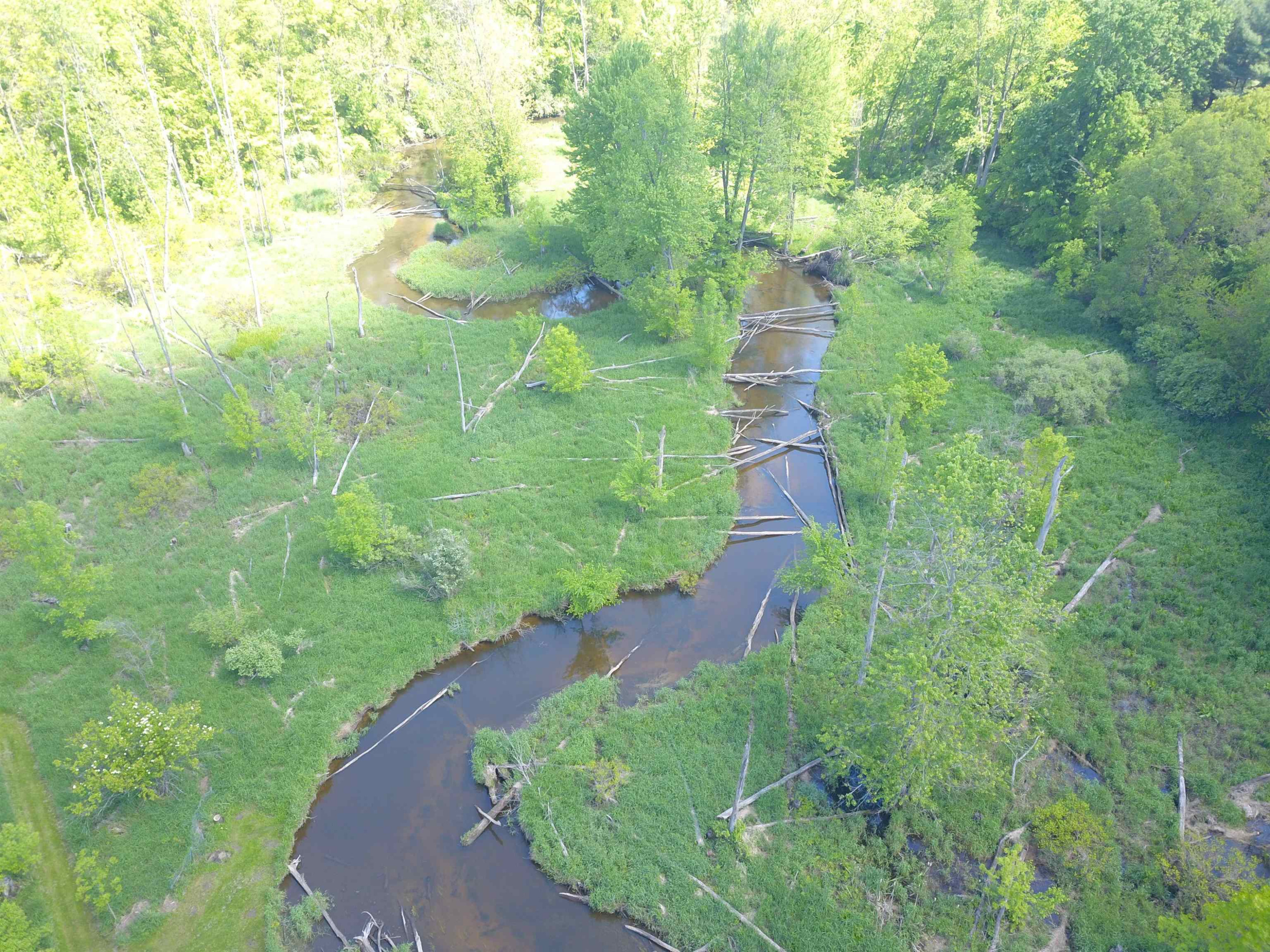 10120 Bath Road, Laingsburg, MI 48848 — Photo 28