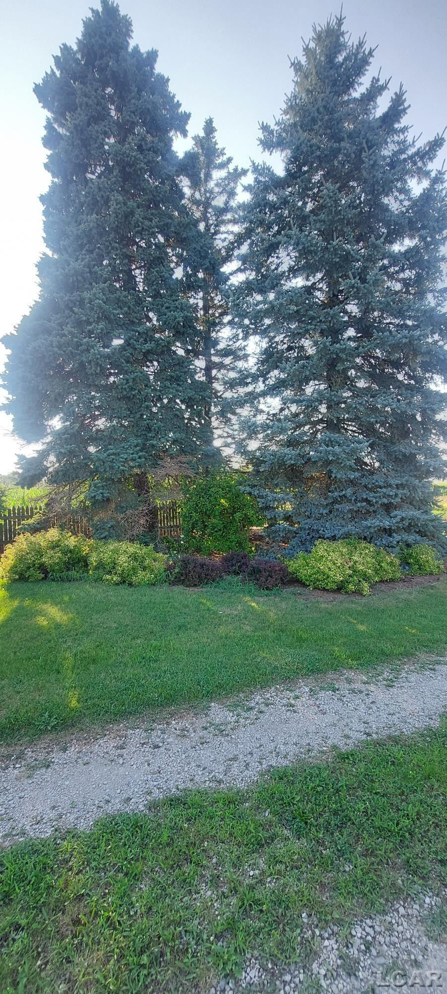 20151 Bethel Church Road, Manchester, MI 48158 — Photo 4