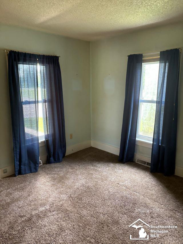 5782 LEWIS AVE Avenue, Ida, MI 48140 — Photo 9