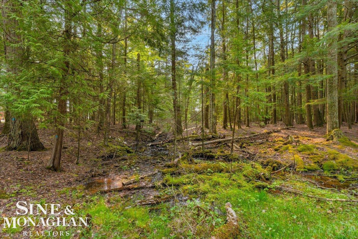 950 N Lake Huron Shore Drive, Harrisville, MI 48740 — Photo 12