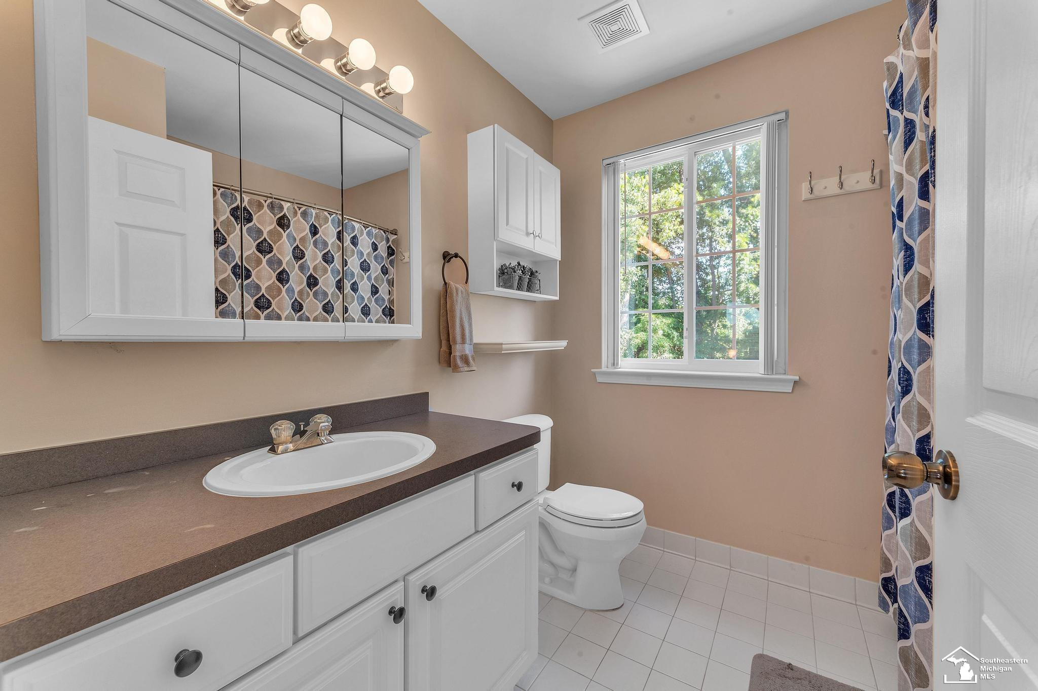 44220 Stonebridge Drive, Belleville, MI 48111 — Photo 22