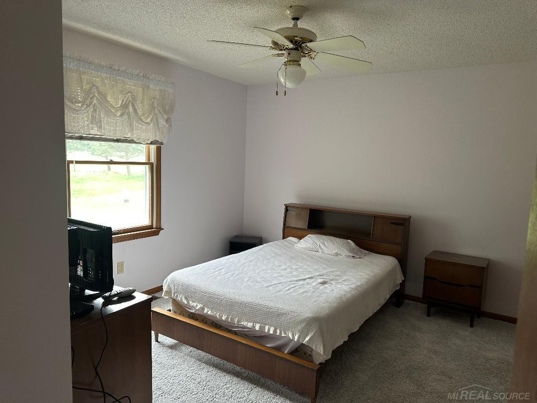 5796 Main Street, Lexington, MI 48450 — Photo 10