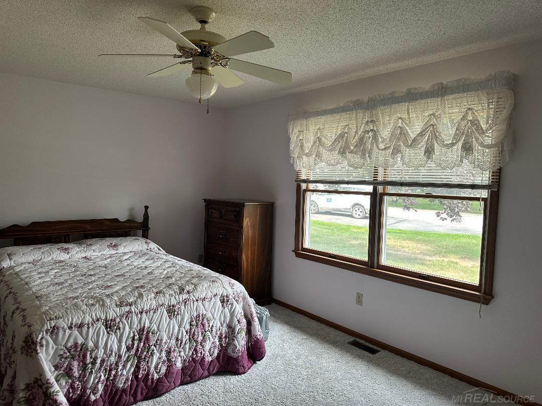 5796 Main Street, Lexington, MI 48450 — Photo 13