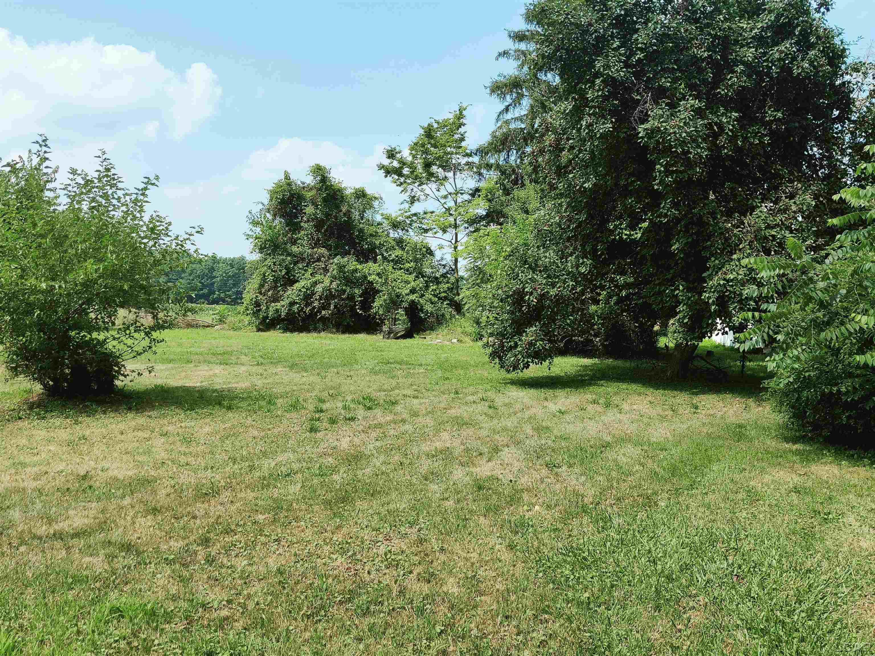 356 S Monroe Street, Blissfield, MI 49228 — Photo 4