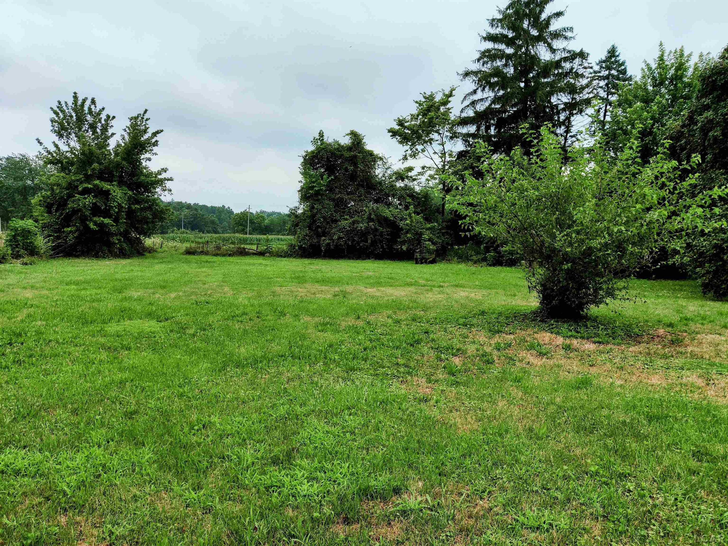 356 S Monroe Street, Blissfield, MI 49228 — Photo 5