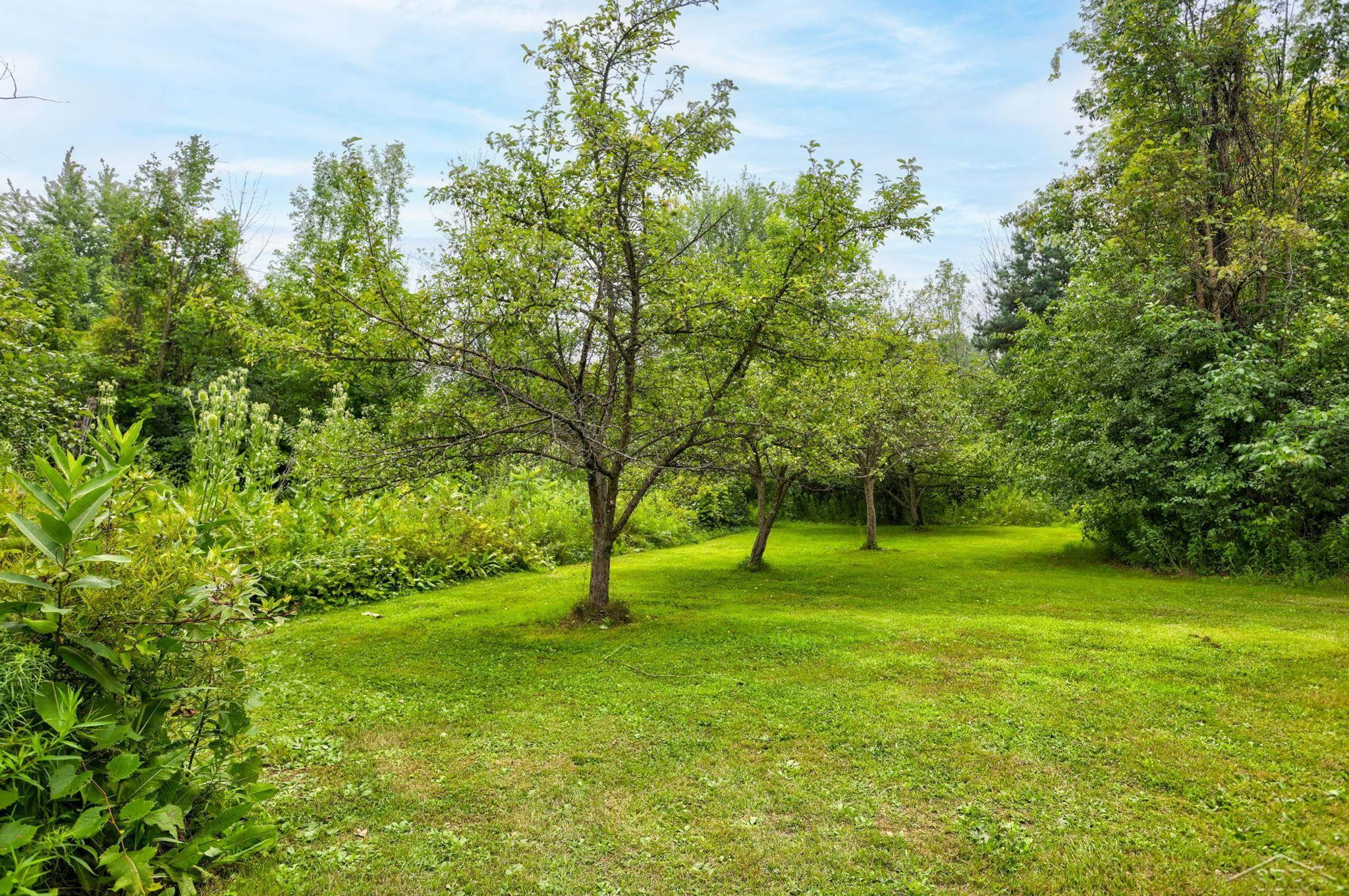 6355 W Freeland Road, Freeland, MI 48623 — Photo 51