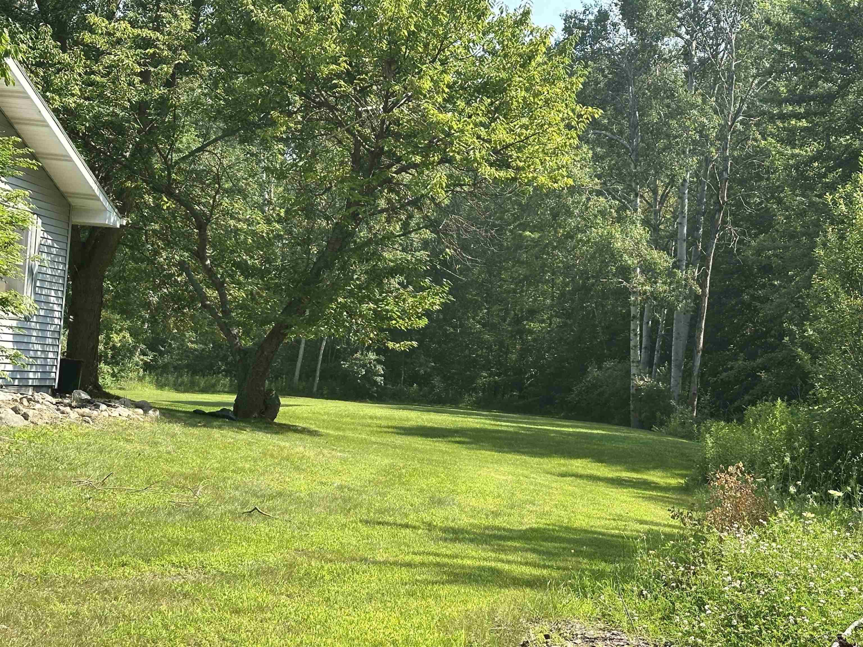 1613 W Linwood Road, Linwood, MI 48634 — Photo 6
