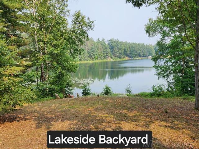 6765 Birch NE Drive, Mancelona, MI 49646 — Photo 3