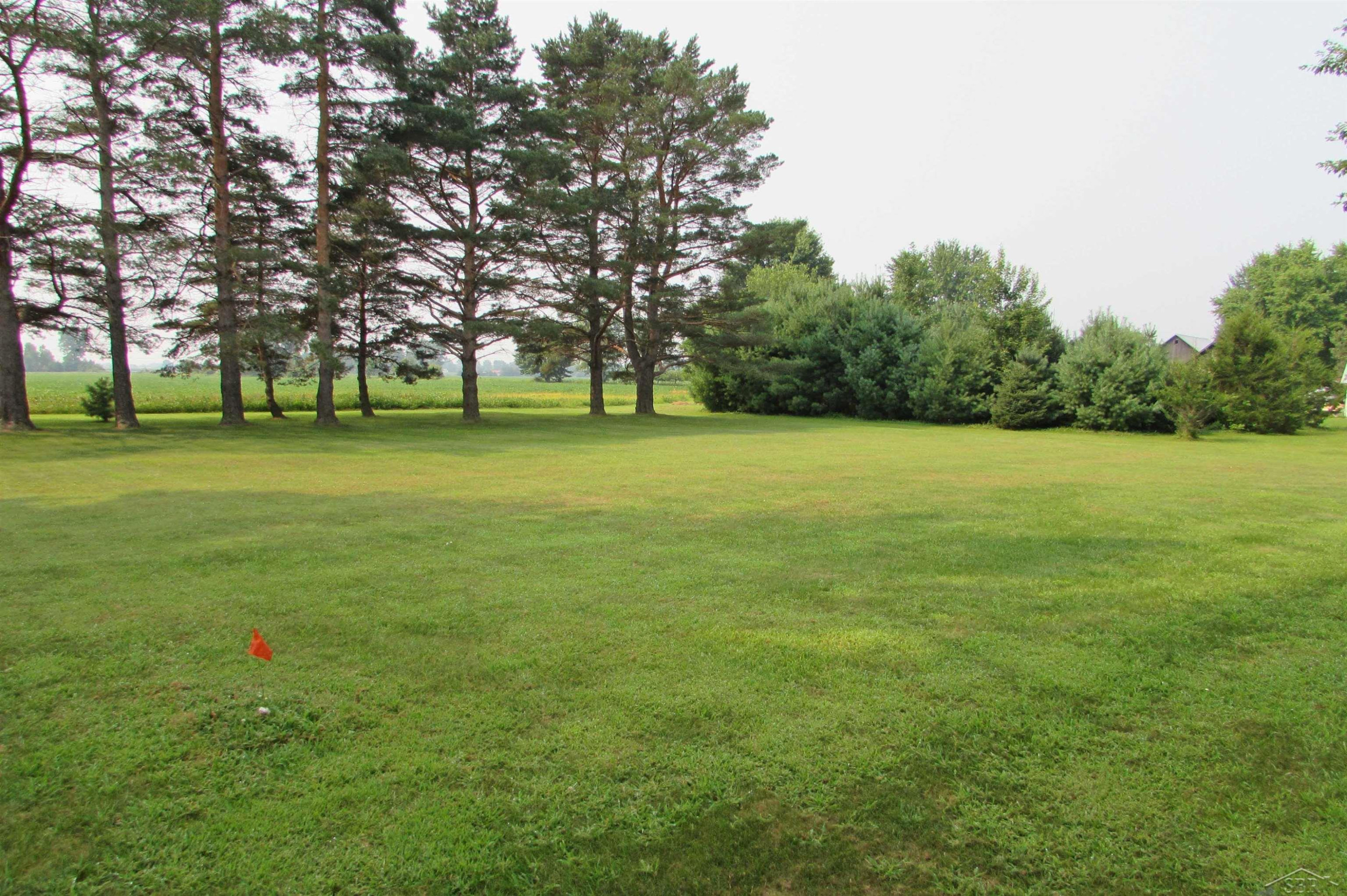 3561 Chesaning Road, Chesaning, MI 48616 — Photo 9
