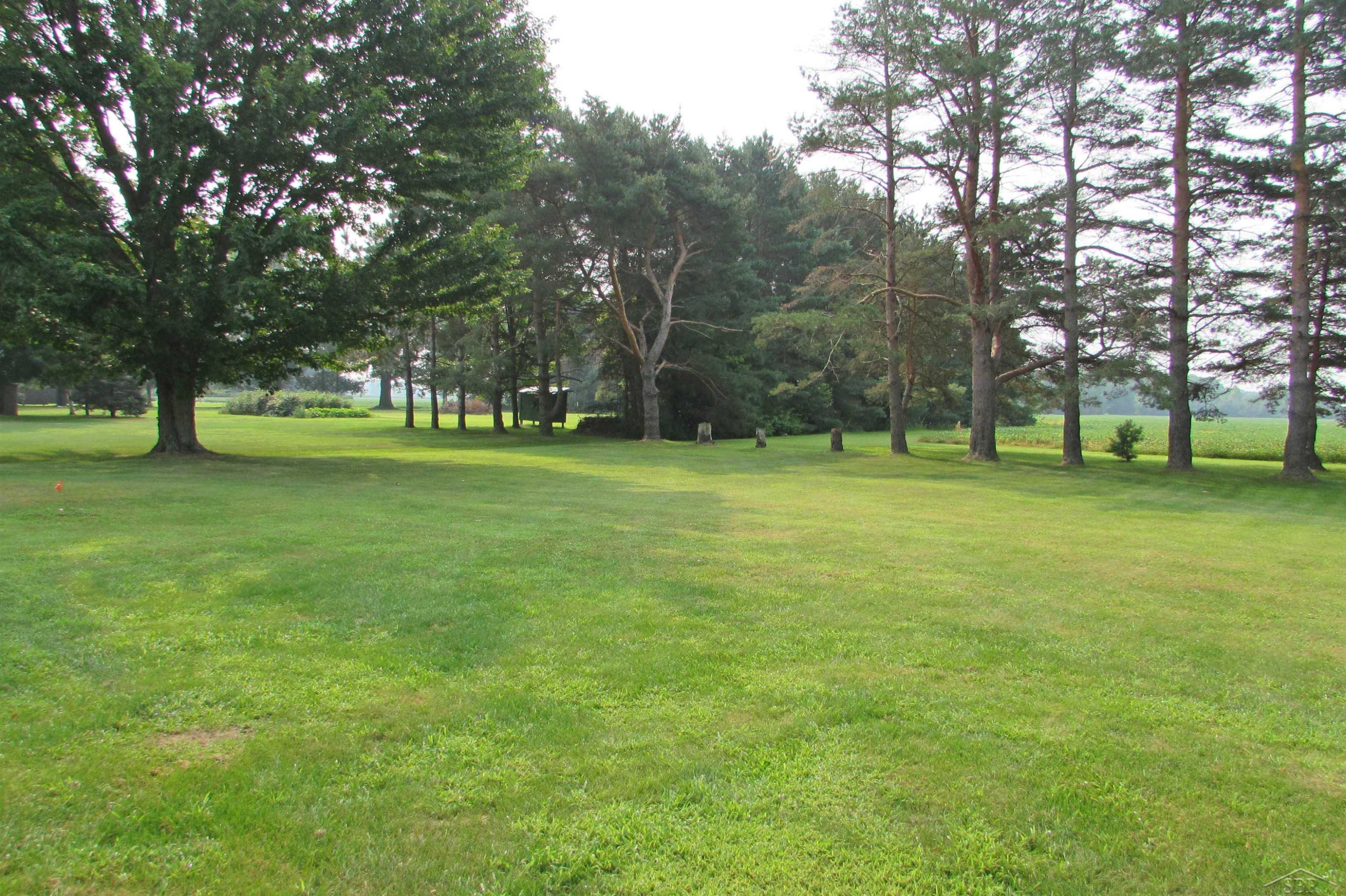 3561 Chesaning Road, Chesaning, MI 48616 — Photo 10