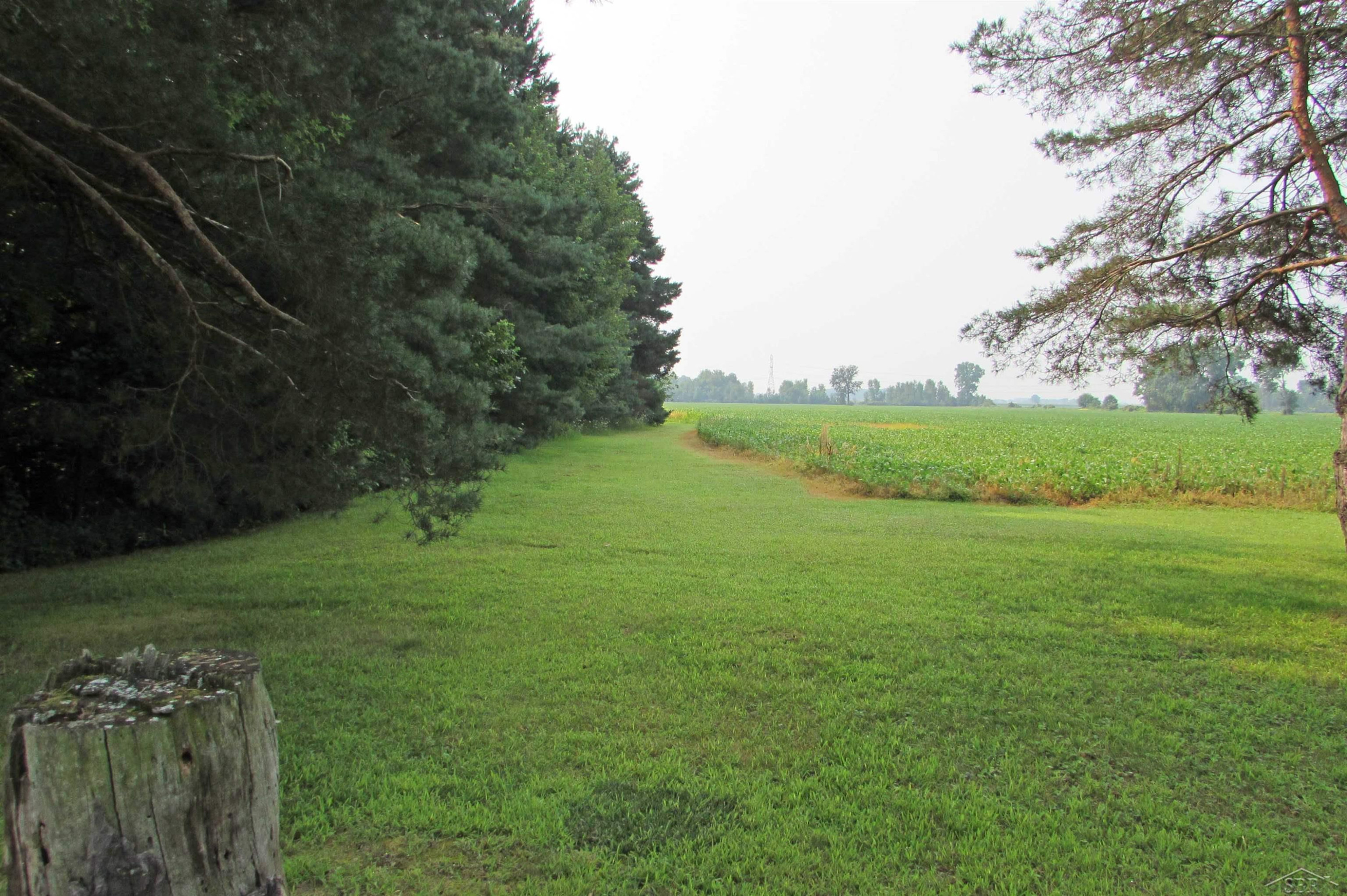 3561 Chesaning Road, Chesaning, MI 48616 — Photo 11