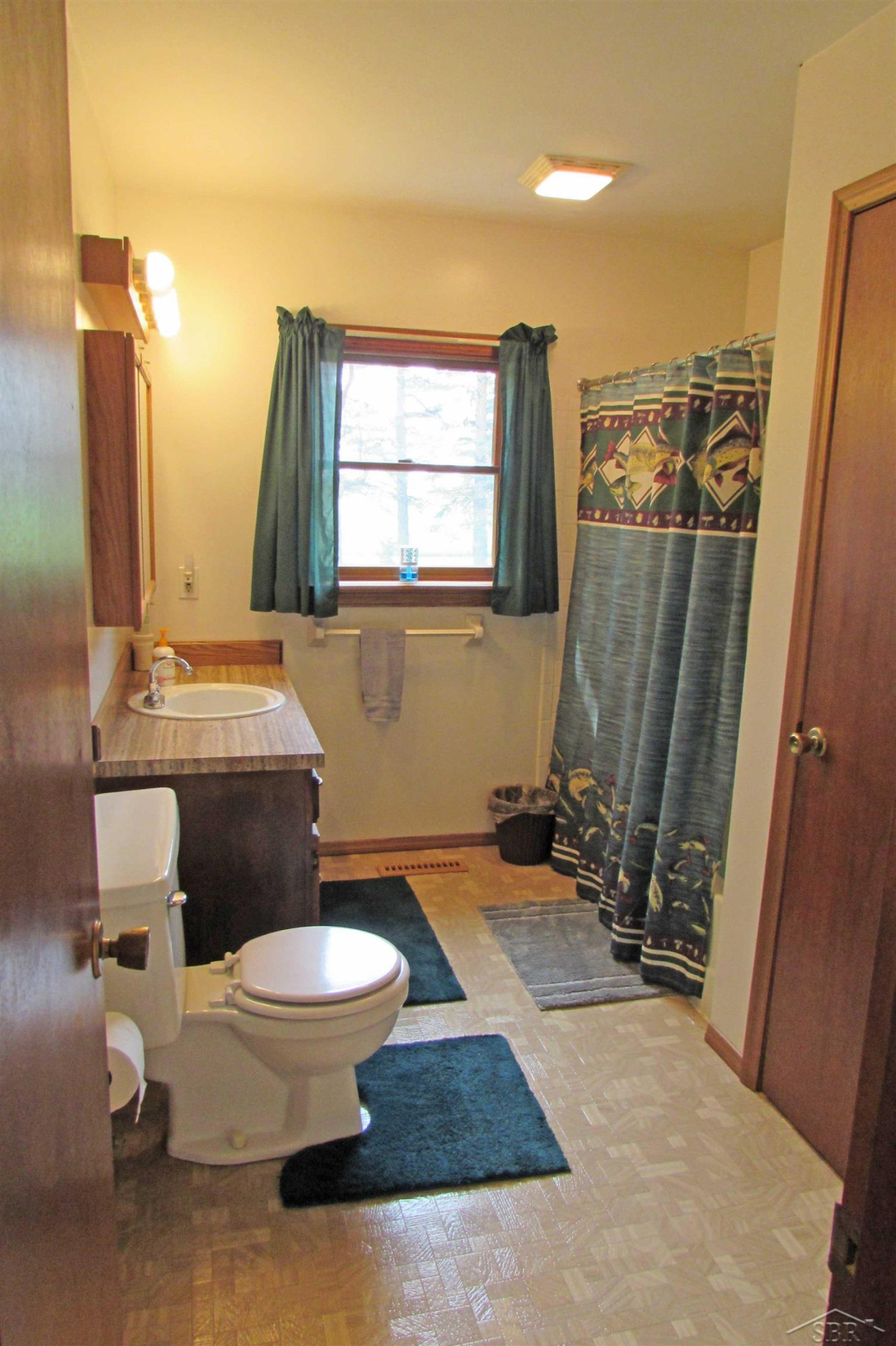 3561 Chesaning Road, Chesaning, MI 48616 — Photo 28