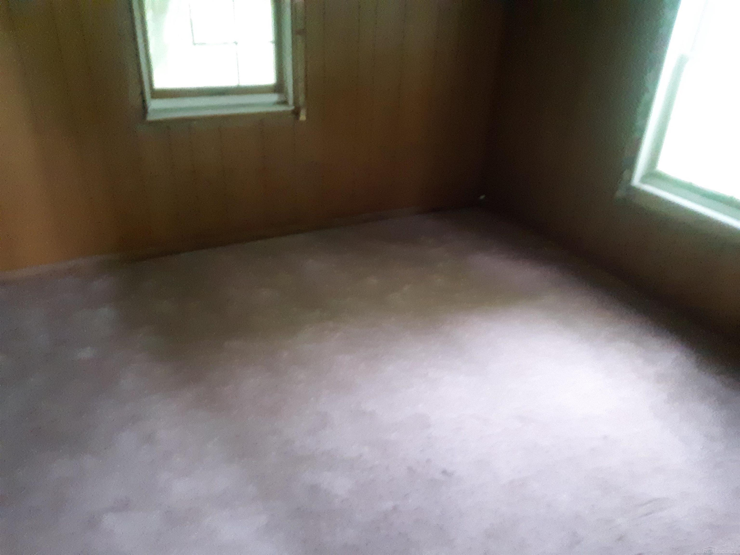 4405 Black River Road, Croswell, MI 48422 — Photo 5
