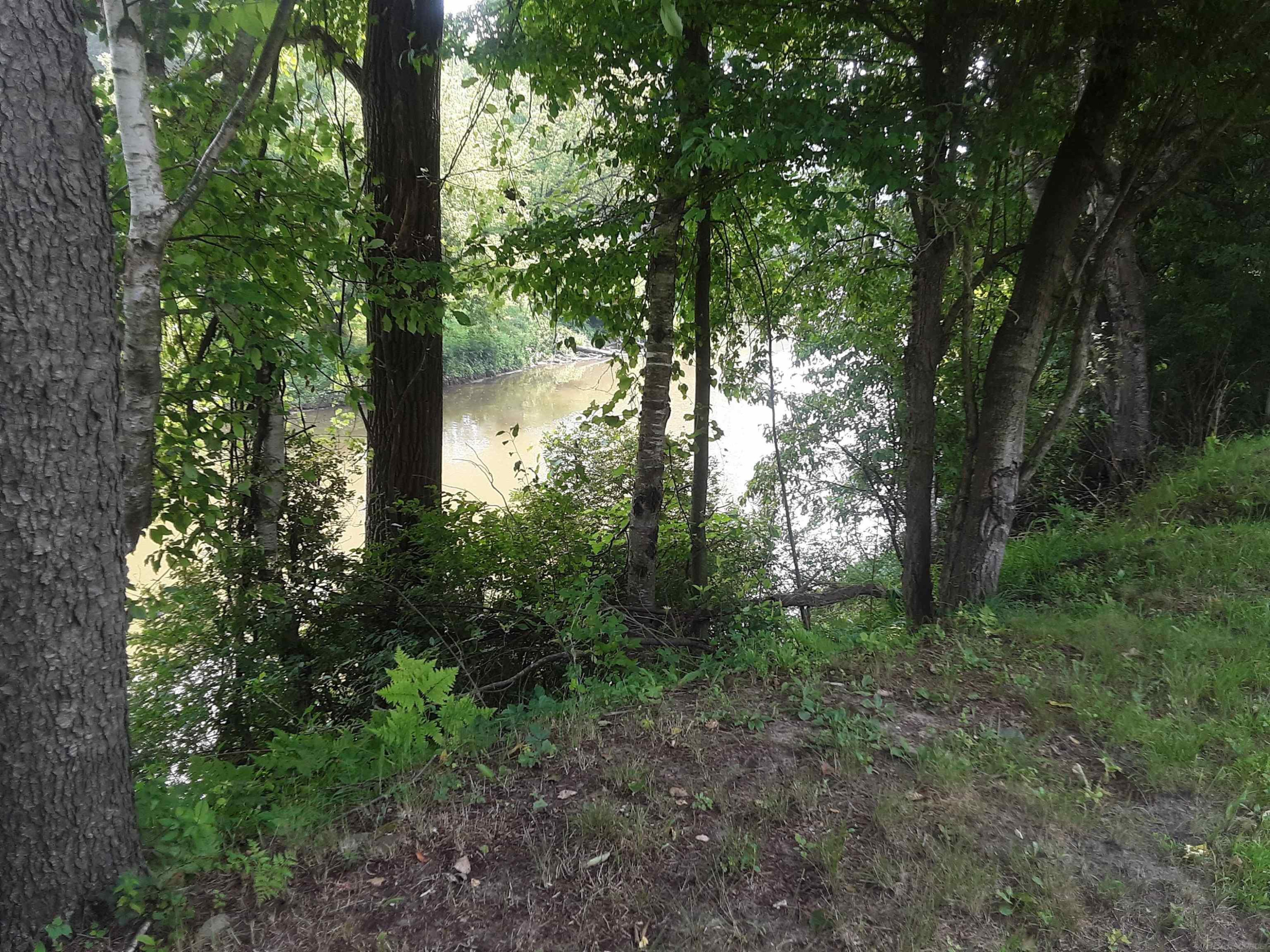 4405 Black River Road, Croswell, MI 48422 — Photo 7