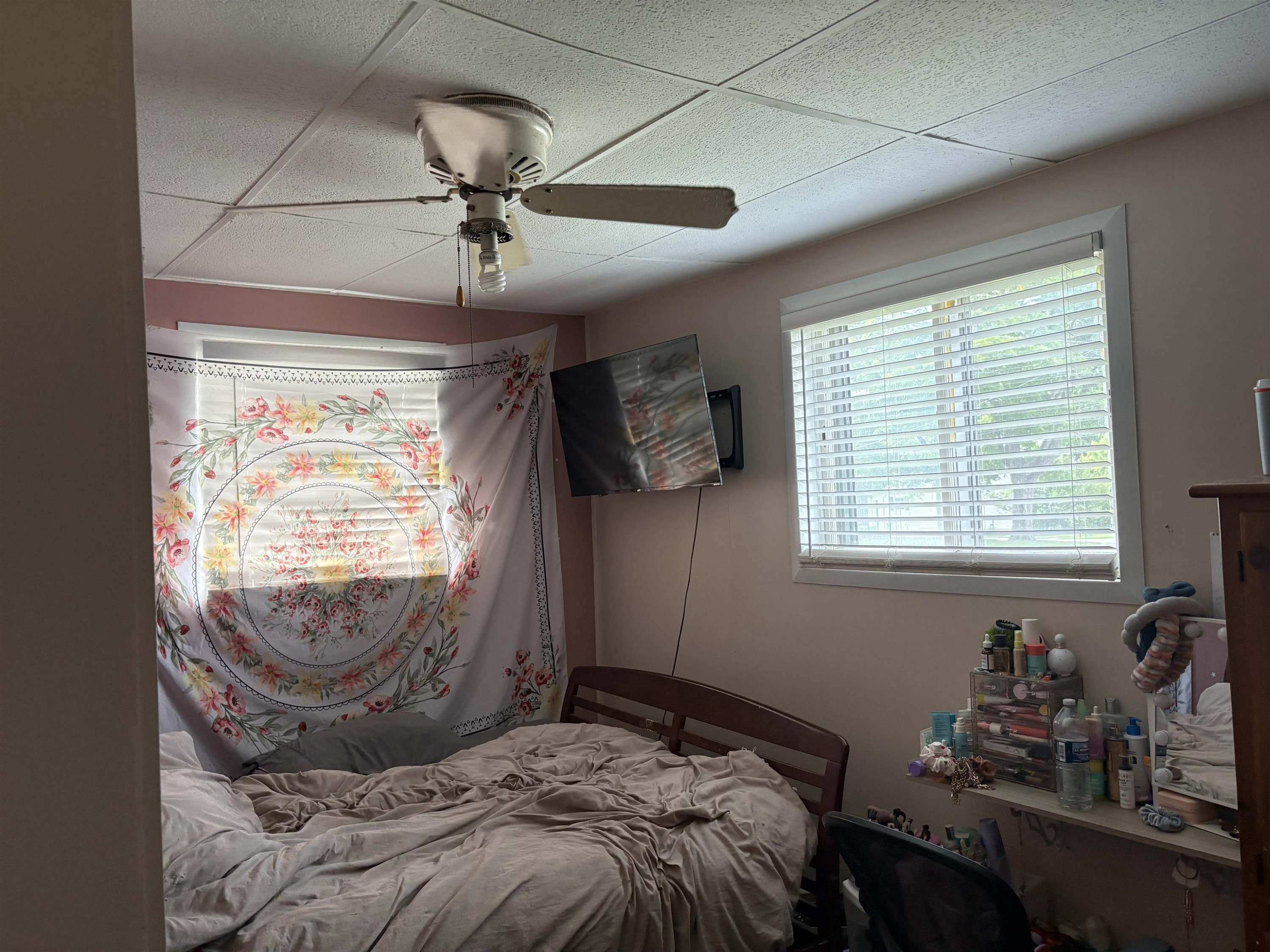 423 S Line Street, Chesaning, MI 48616 — Photo 8
