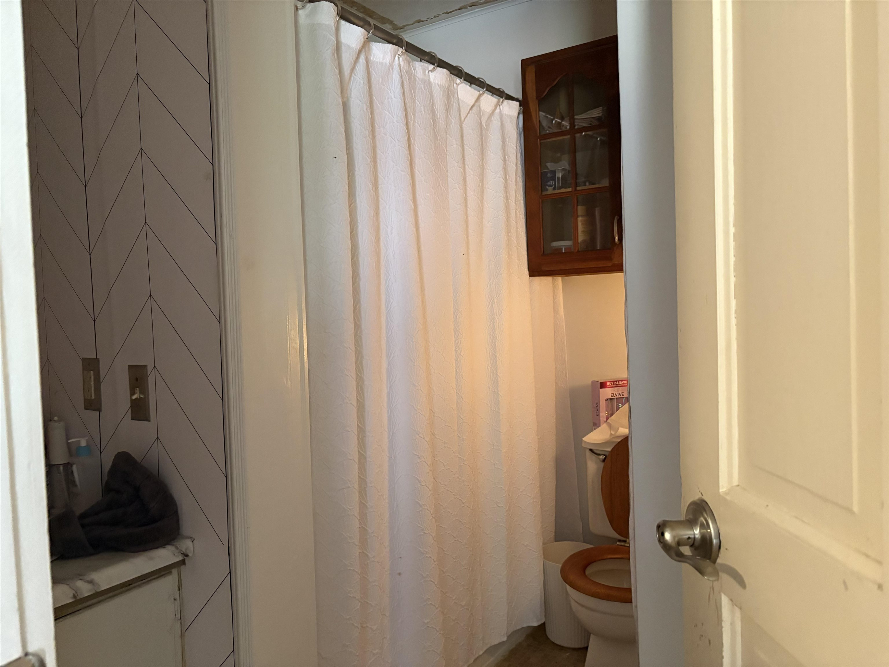 423 S Line Street, Chesaning, MI 48616 — Photo 10