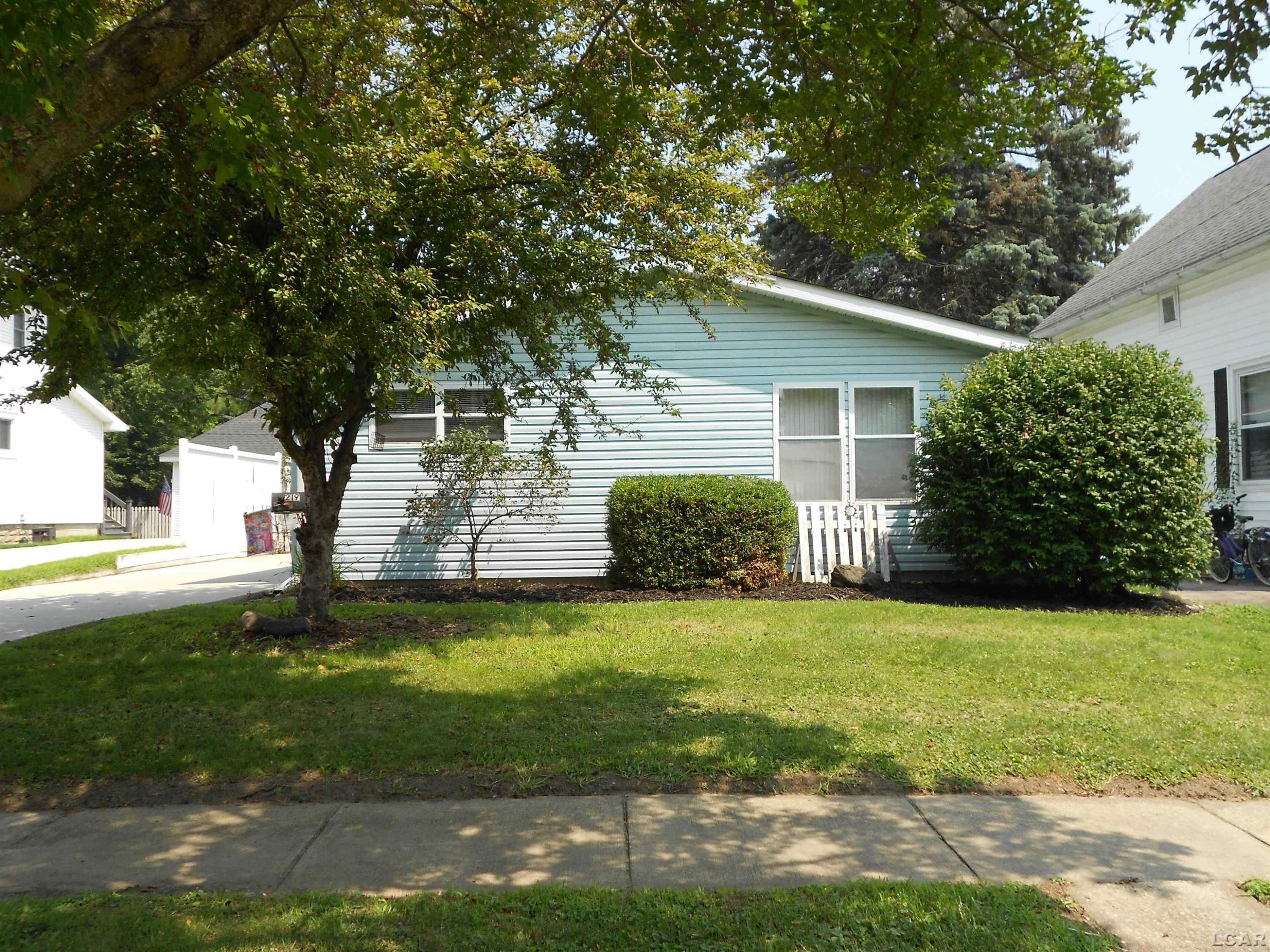 219 Cherry Street, Blissfield, MI 49228 — front exterior