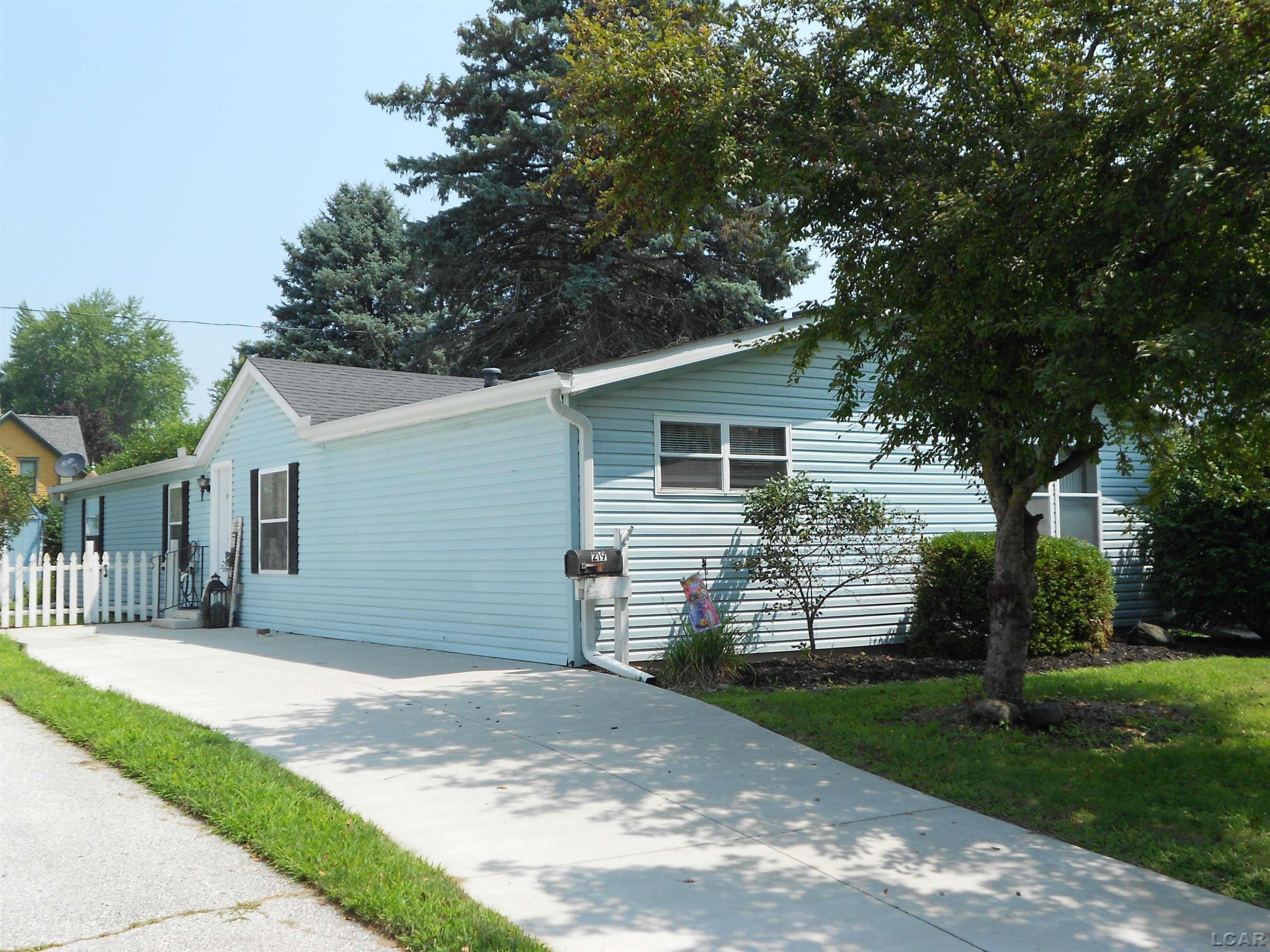 219 Cherry Street, Blissfield, MI 49228 — Photo 2