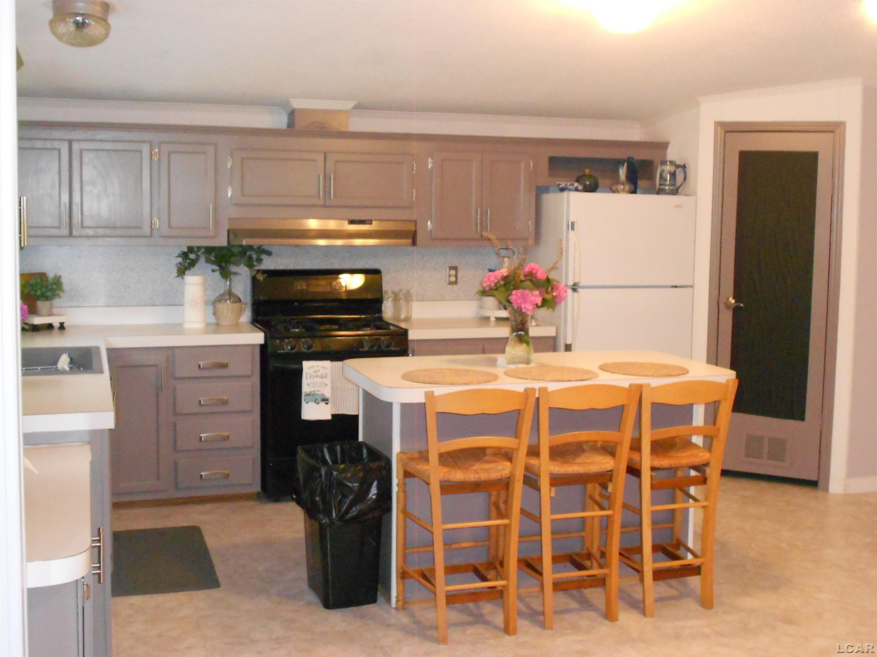219 Cherry Street, Blissfield, MI 49228 — Photo 5