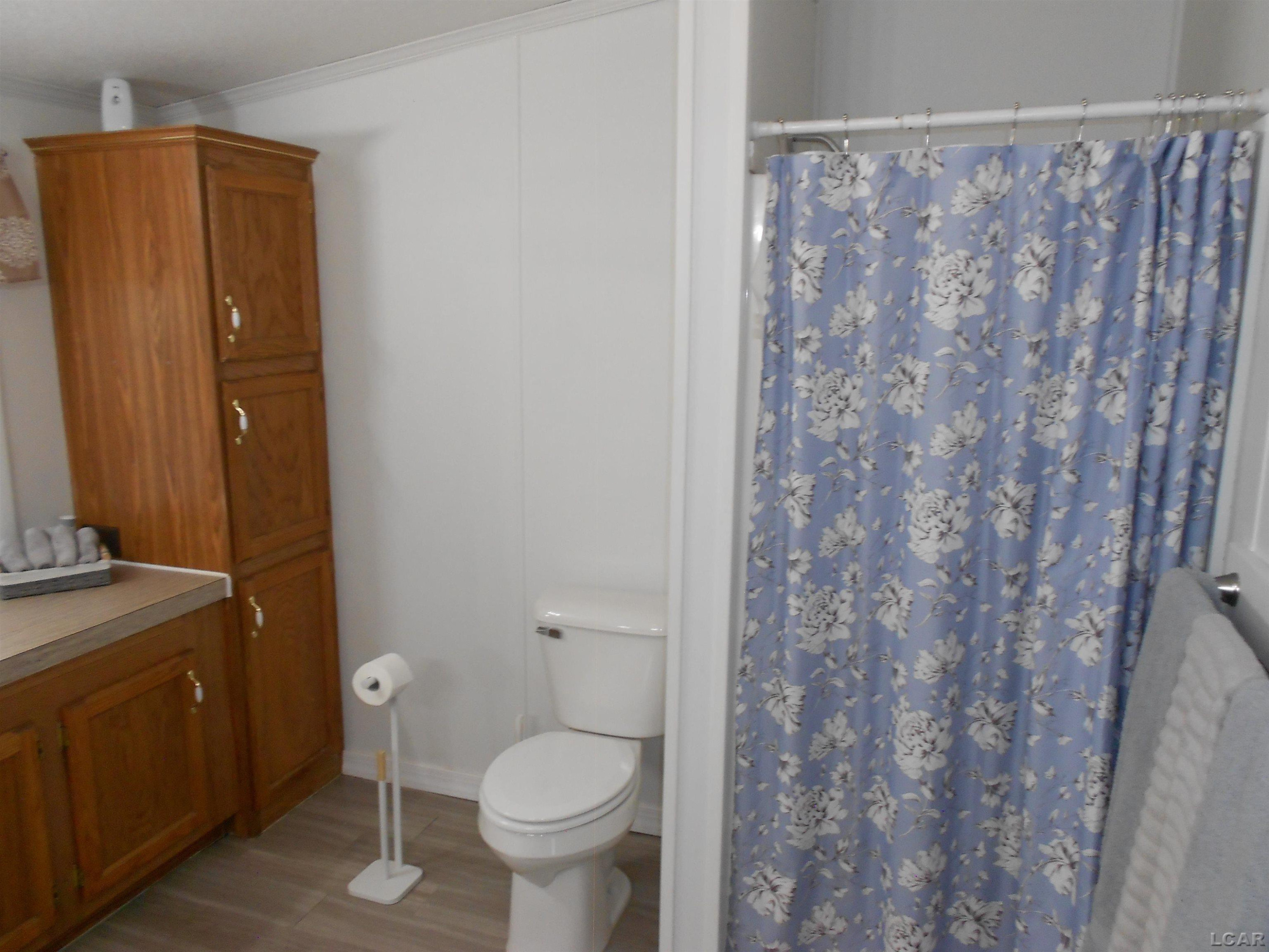 219 Cherry Street, Blissfield, MI 49228 — Photo 11