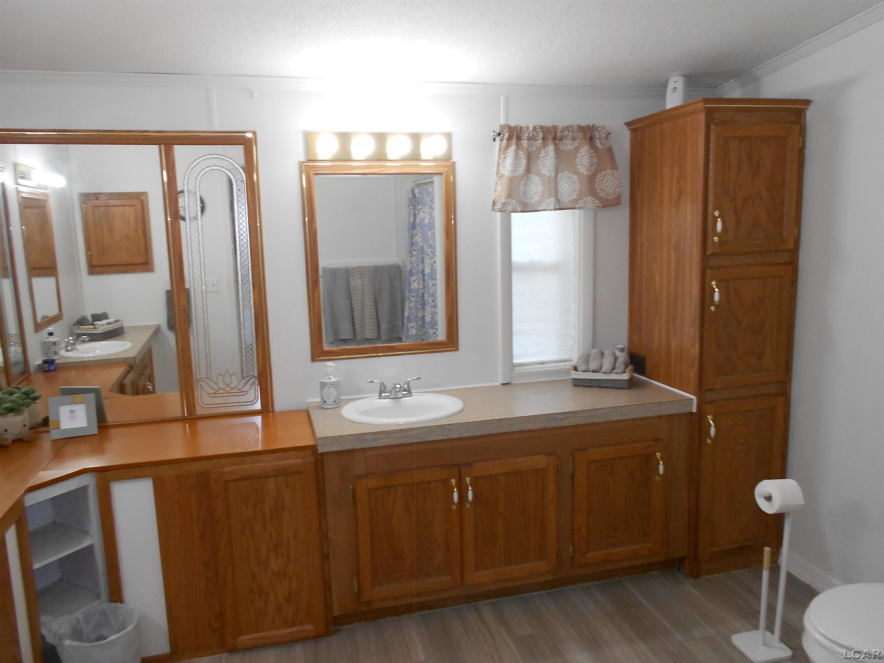 219 Cherry Street, Blissfield, MI 49228 — Photo 12