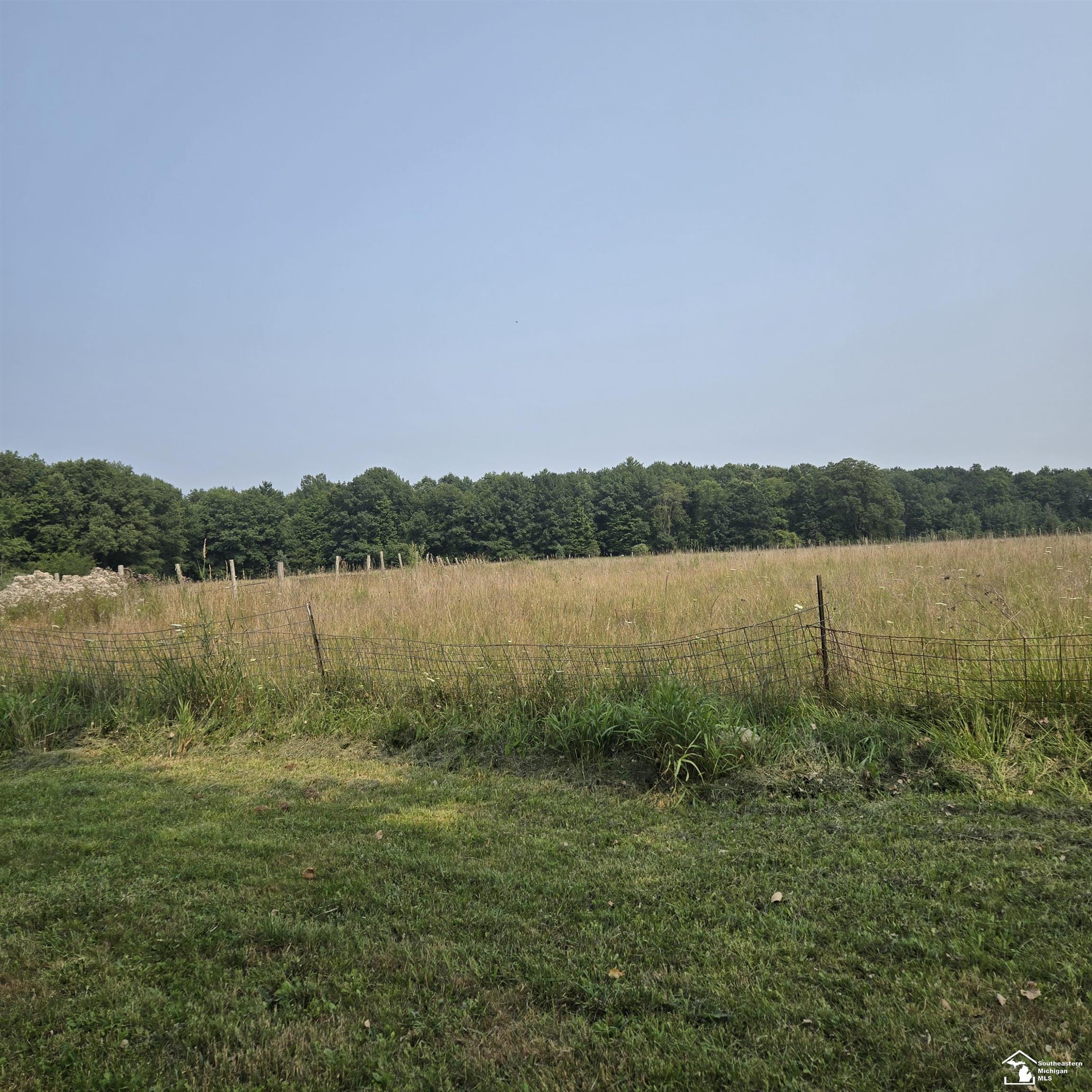 8761 Wildcat Road, MI 48032 — Photo 5