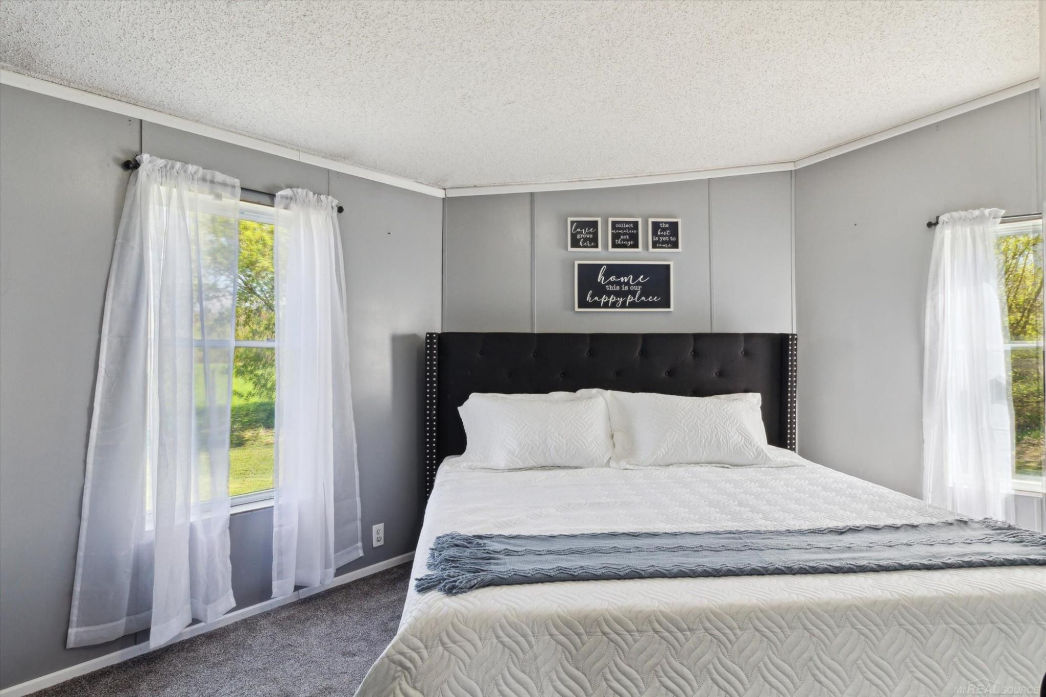 10343 E Pakes Road, Crystal, MI 48818 — Photo 15