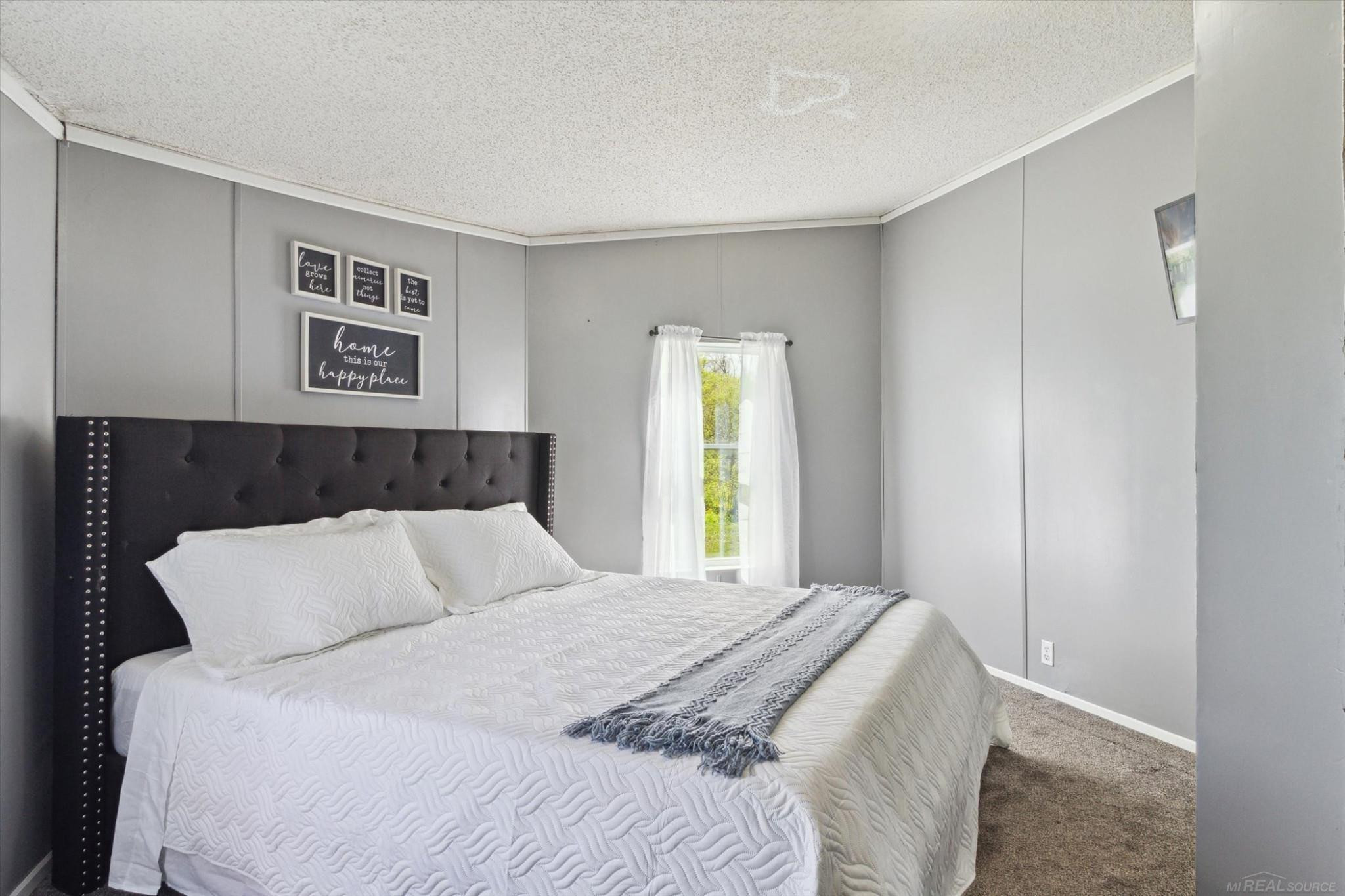 10343 E Pakes Road, Crystal, MI 48818 — Photo 16
