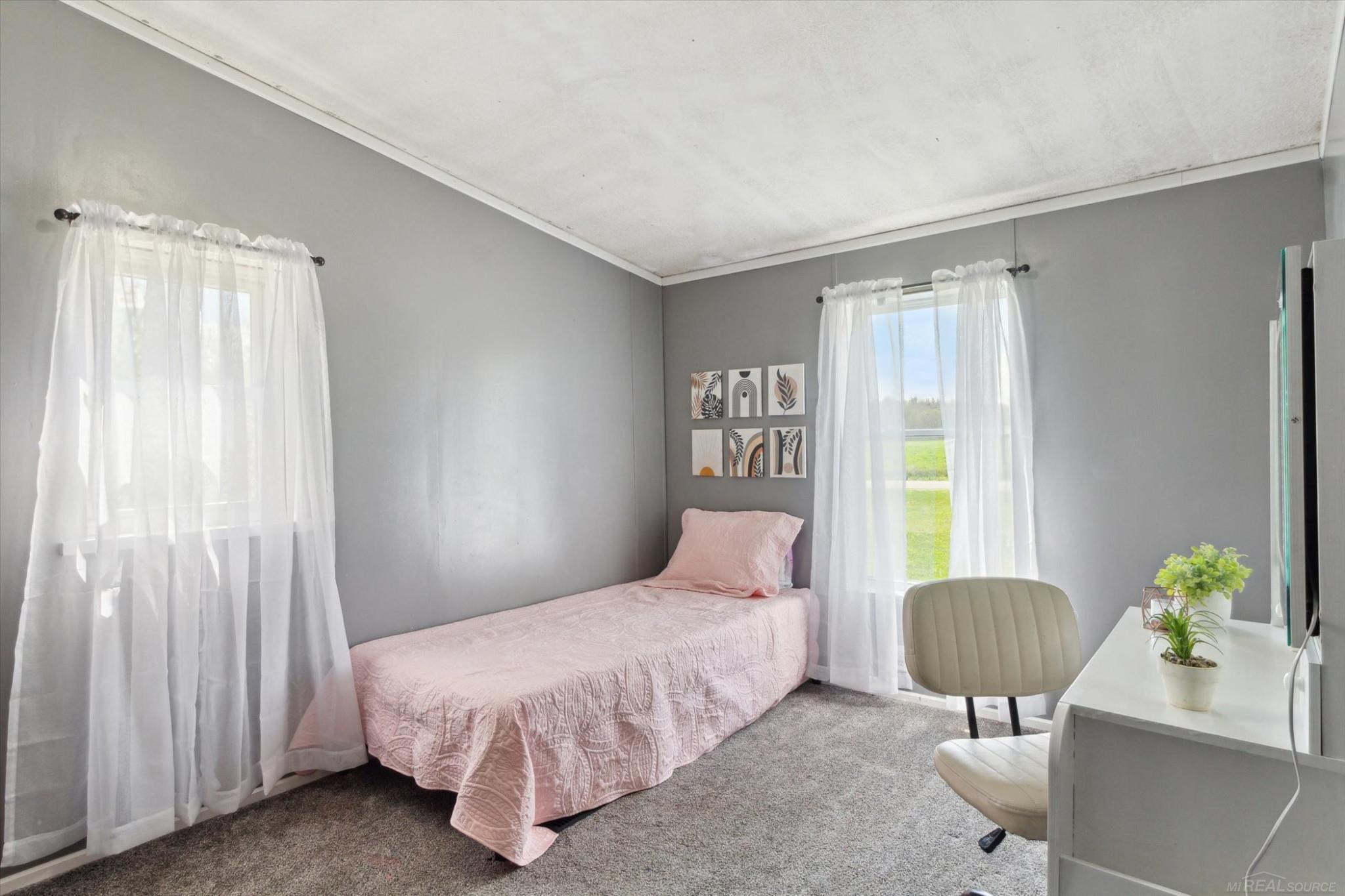 10343 E Pakes Road, Crystal, MI 48818 — Photo 17
