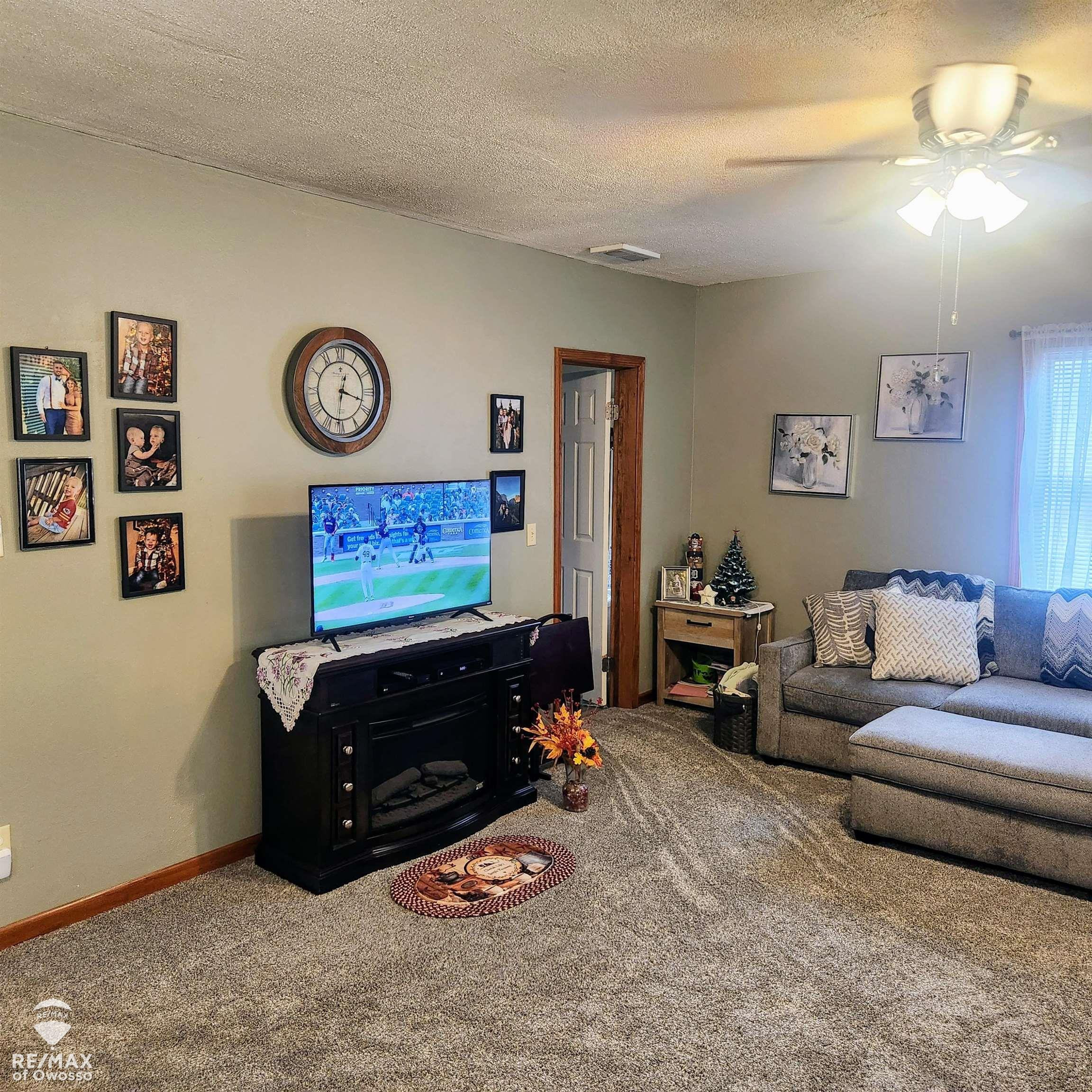 205 W Maple Street, Shepherd, MI 48883 — Photo 9