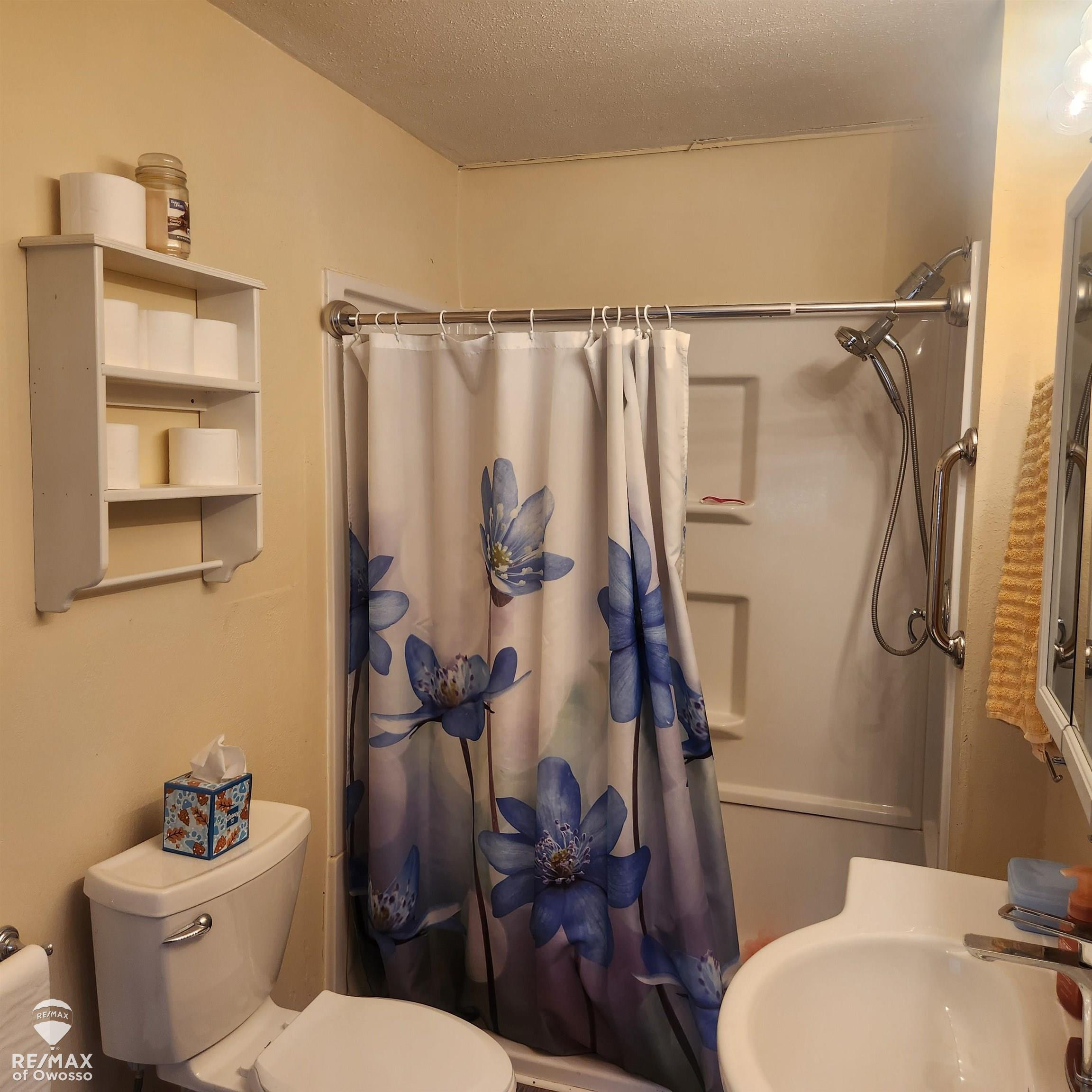 205 W Maple Street, Shepherd, MI 48883 — Photo 14