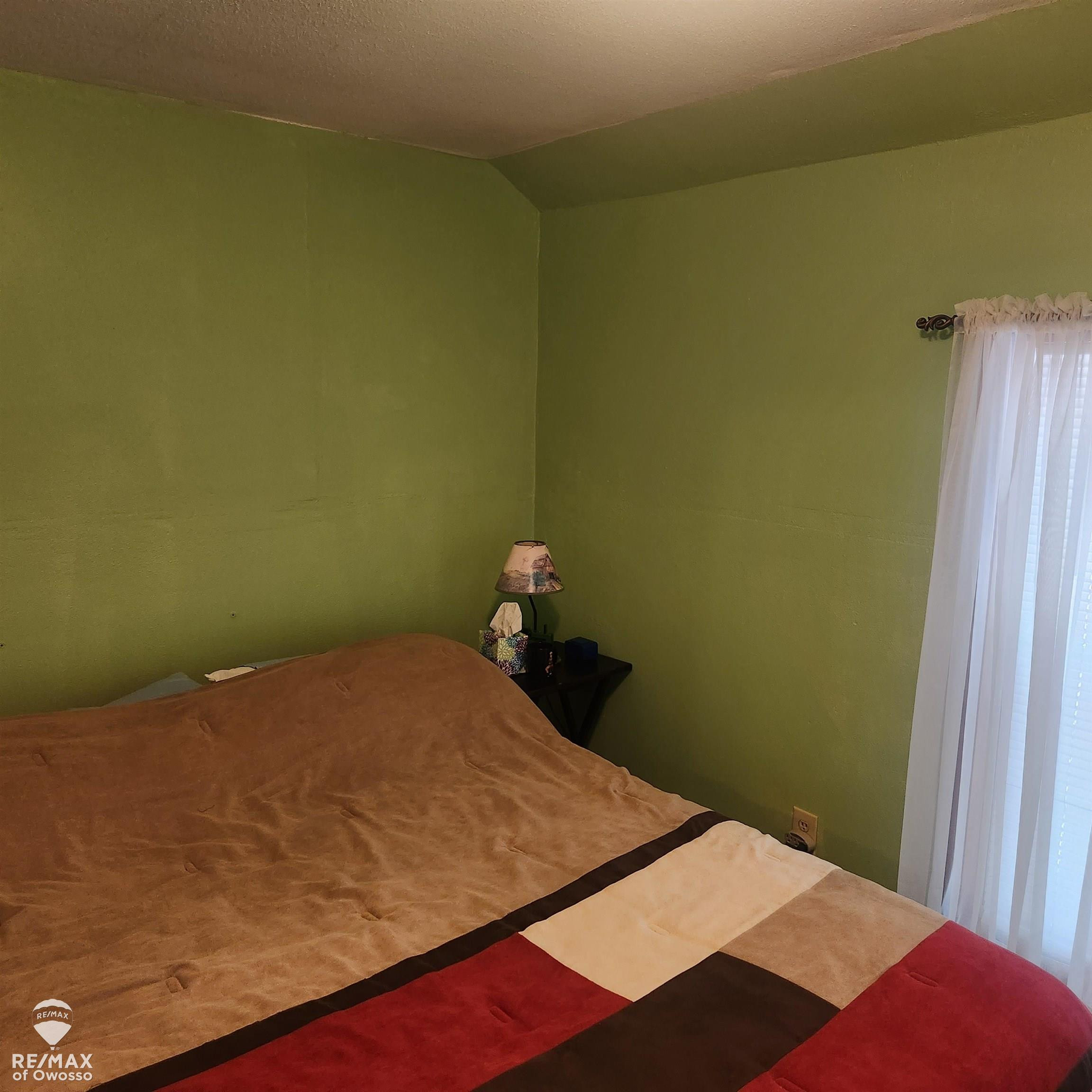 205 W Maple Street, Shepherd, MI 48883 — Photo 23